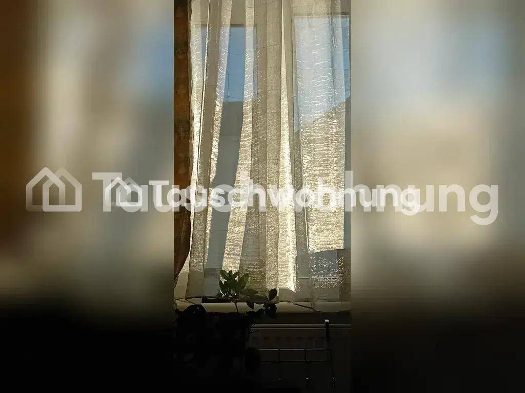 Helles Fenster mit transparenten Vorhängen und einer kleinen Pflanze auf der Fensterbank.