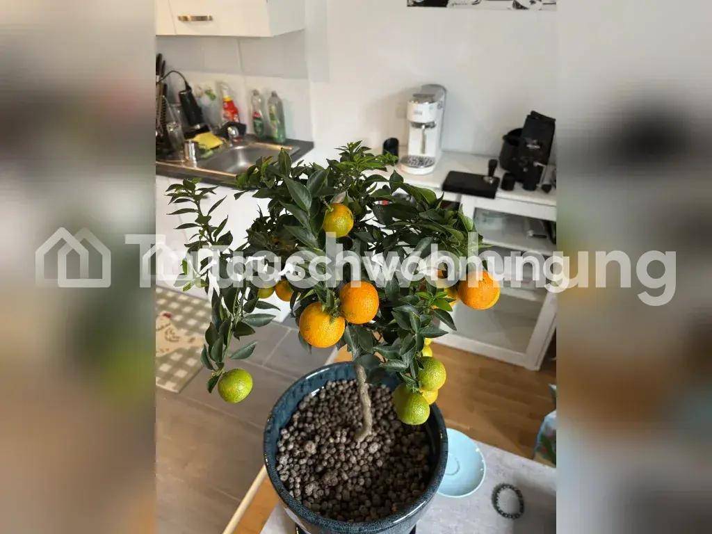 Nahaufnahme einer Zitruspflanze mit Spüle und Küchenarbeitsplatte im Hintergrund.
