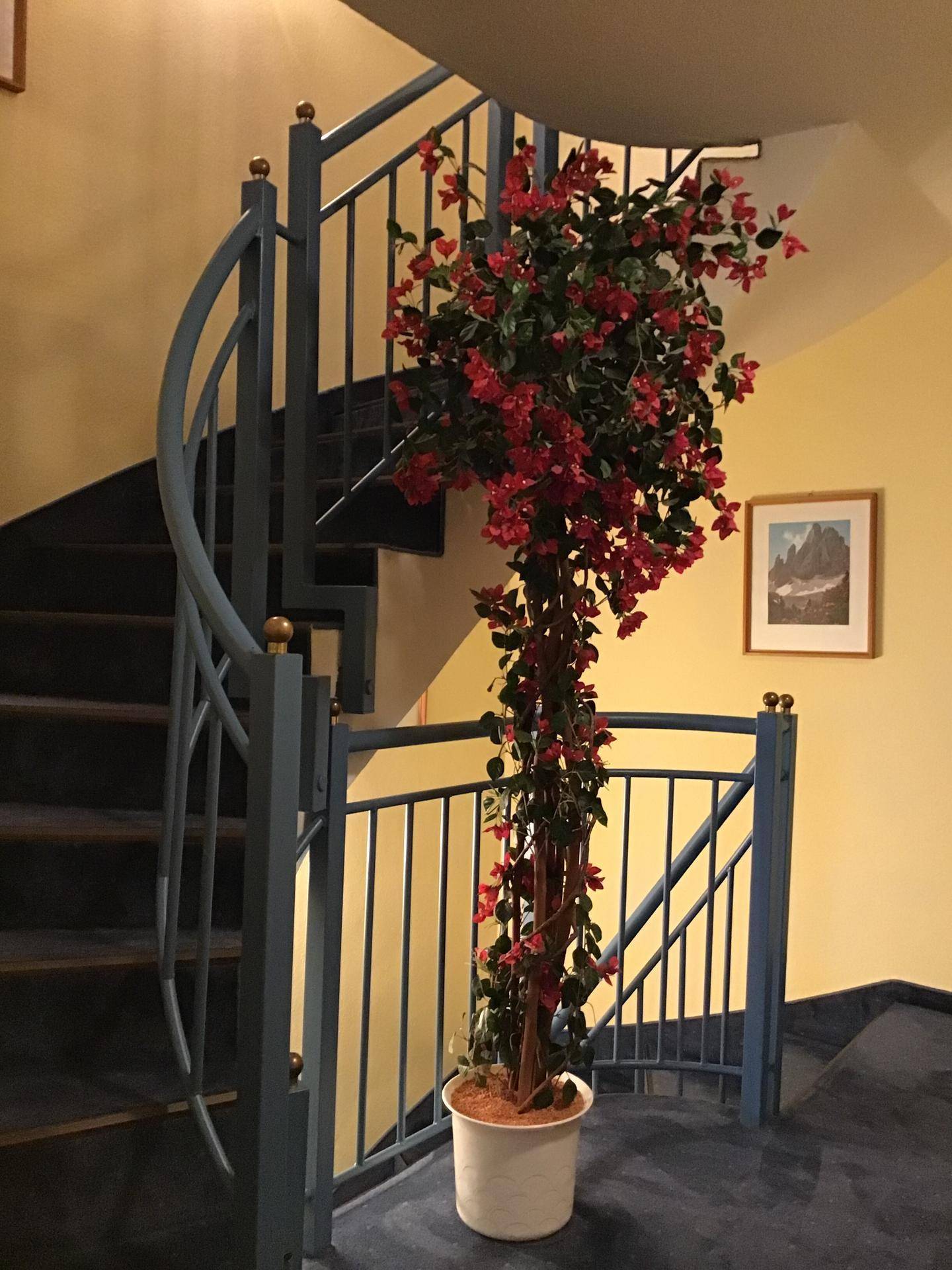 Wendeltreppe mit blauem Geländer und dekorativer Pflanze in einem hellen Treppenhaus.