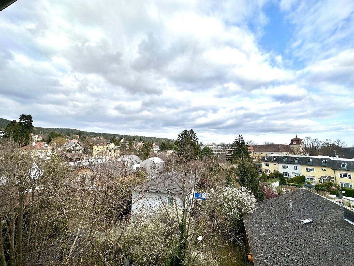 Weitläufiger Blick über die grüne Umgebung mit Häusern und Bäumen unter bewölktem Himmel.