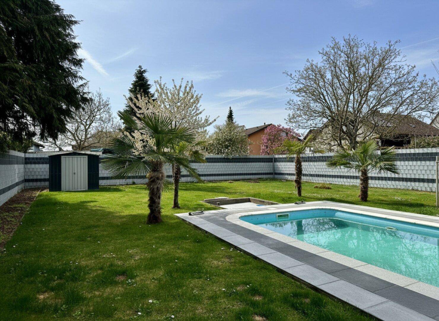Gepflegter Garten mit Swimmingpool, Rasenfläche, Palmen und Gartenhaus.