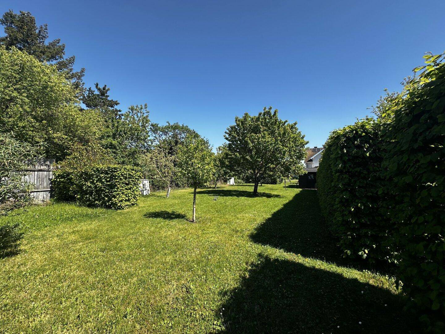 Großer, gepflegter Garten mit Rasenfläche, Bäumen und Hecken unter blauem Himmel.