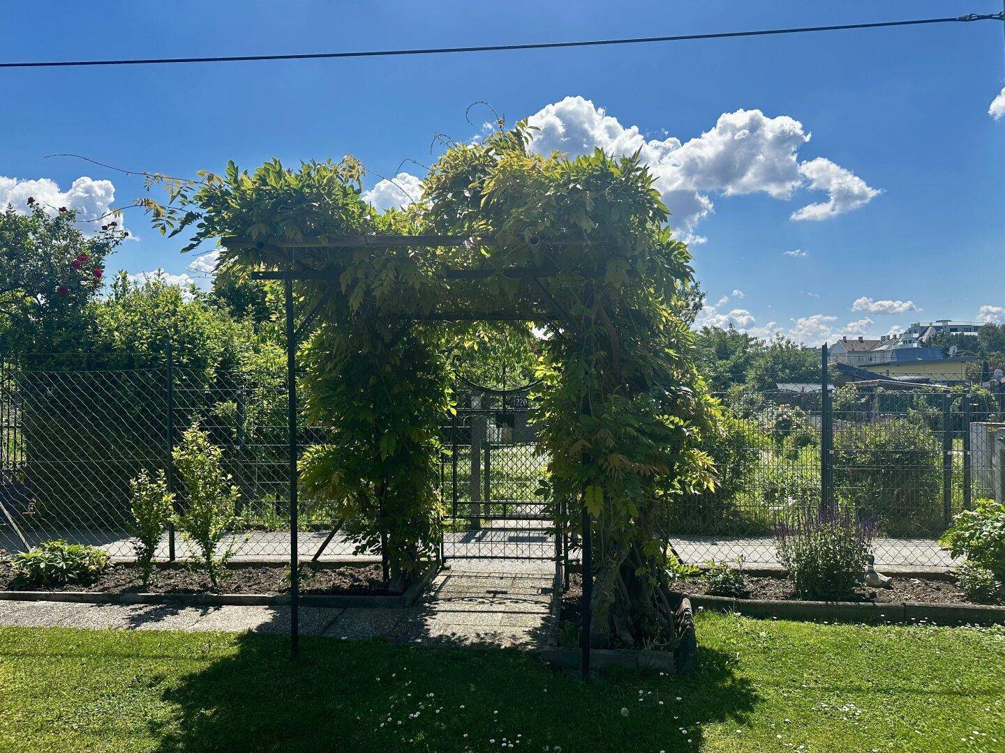 Grüner Gartenbereich mit einer bewachsenen Pergola, die zu einem Gartentor führt.