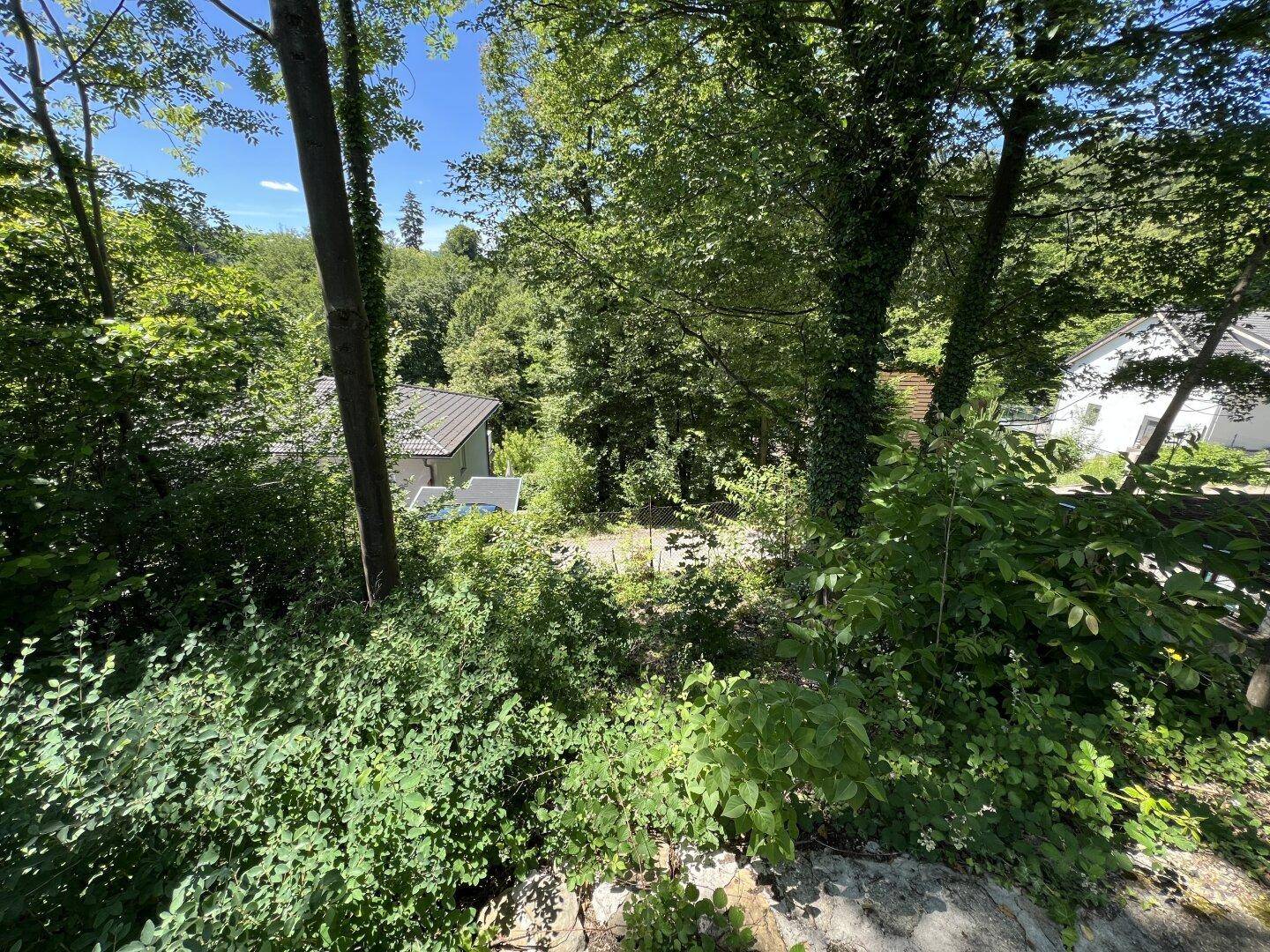 Blick von oben auf ein dicht bewachsenes, grünes Grundstück mit Häusern in der Ferne.