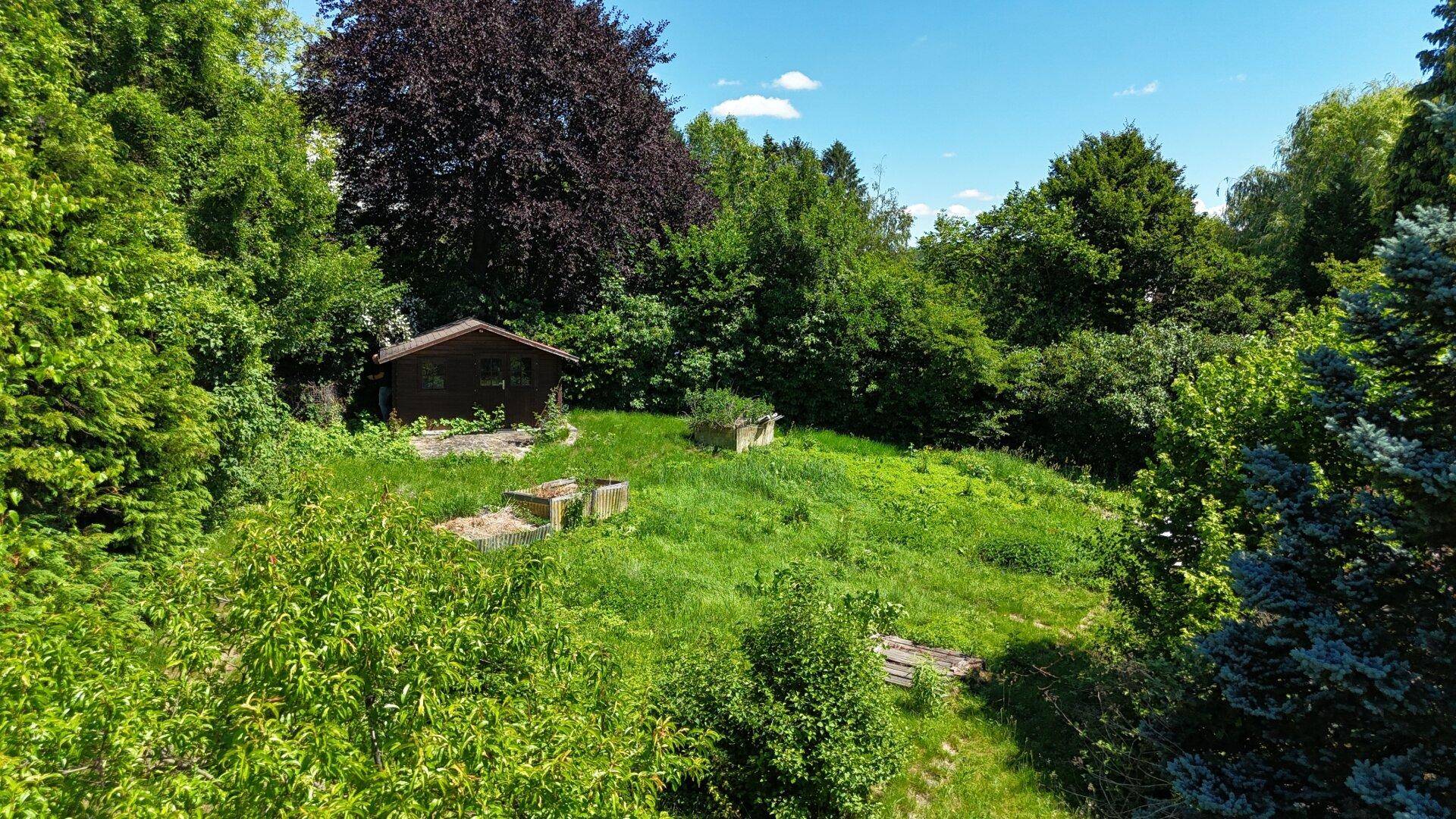 Weitläufige Gartenfläche mit Holzschuppen, Hochbeeten und verschiedenen Bäumen unter blauem Himmel.