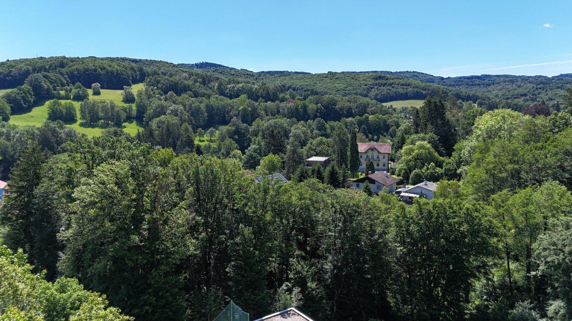 Panoramablick auf eine weite, grüne Hügellandschaft mit dichten Wäldern und vereinzelten Häusern.