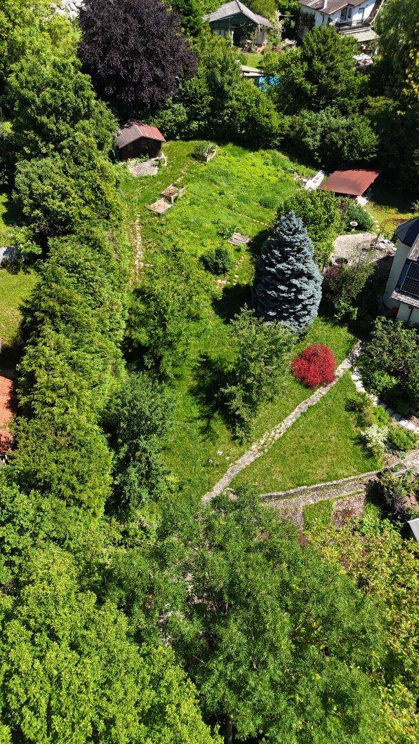 Luftaufnahme eines grünen Grundstücks mit Schuppen, Nadelbaum und Wegen, umgeben von dichter Vegetation.