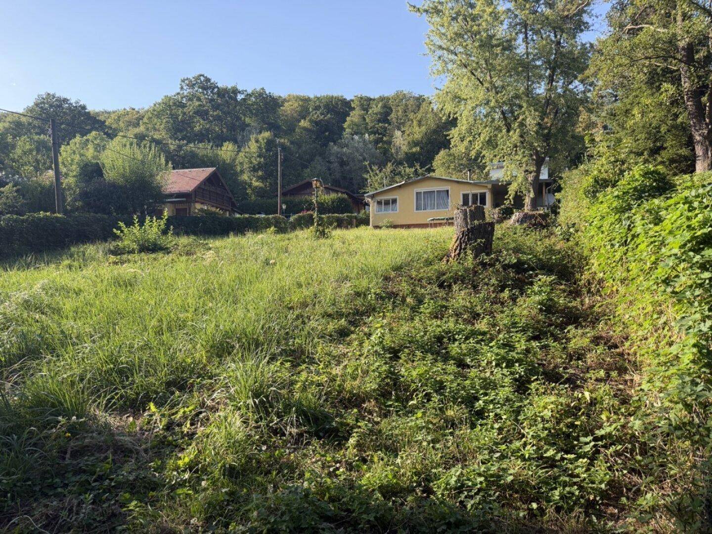 Haus in ländlicher Umgebung mit viel Grün, Bäumen und einer weiten Wiese.