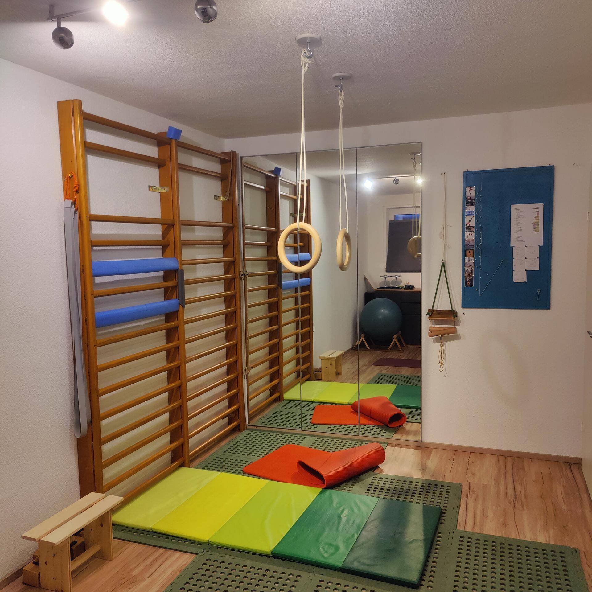 Fitnessraum mit Sprossenwand, Turnringen und Spiegeln, ausgestattet für sportliche Aktivitäten.