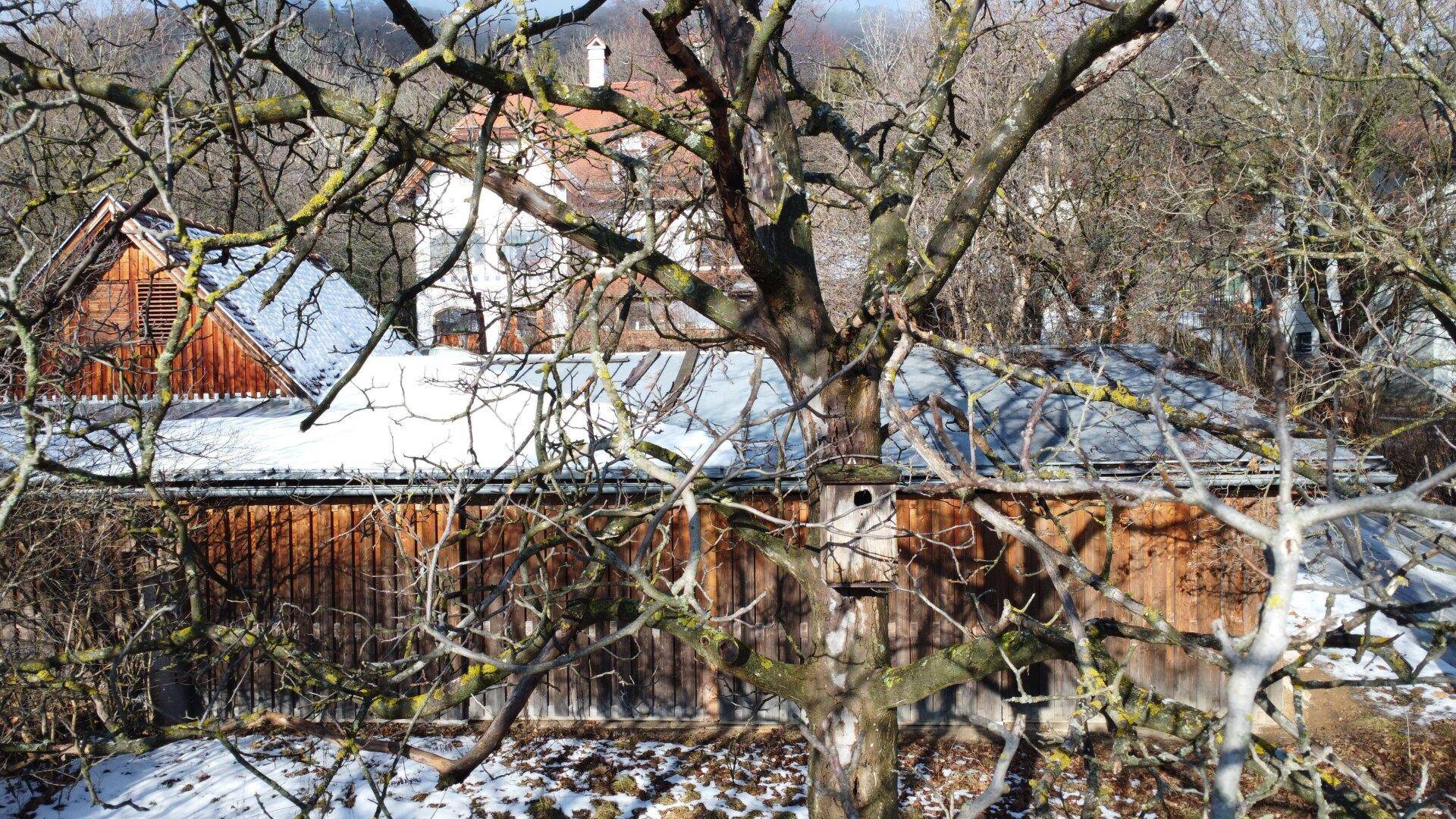 Luftaufnahme eines Holzgebäudes mit verschneitem Dach, umgeben von kahlen Ästen im Winter.
