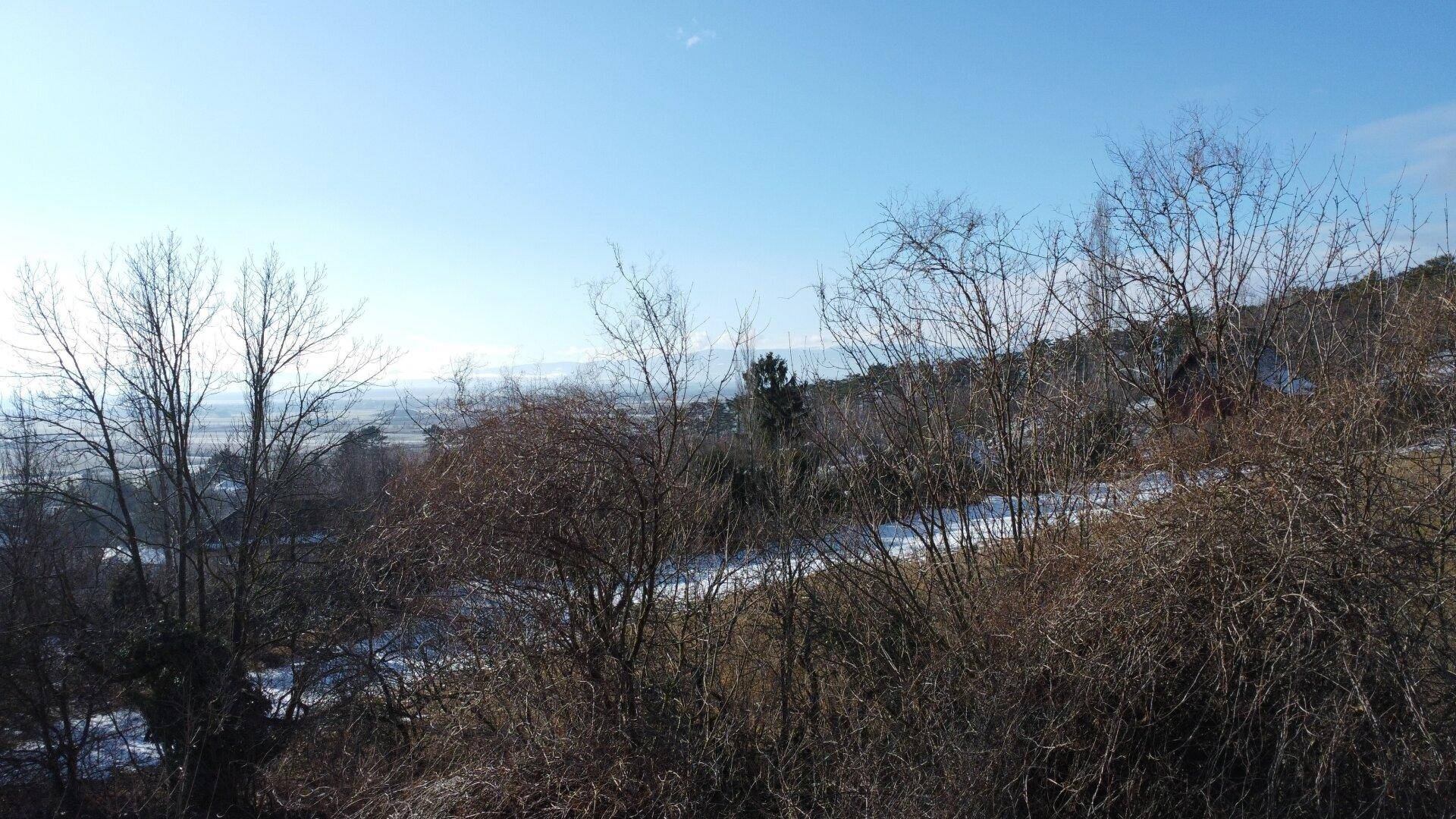 Panoramablick durch kahle Bäume auf eine verschneite Hügellandschaft unter blauem Himmel.