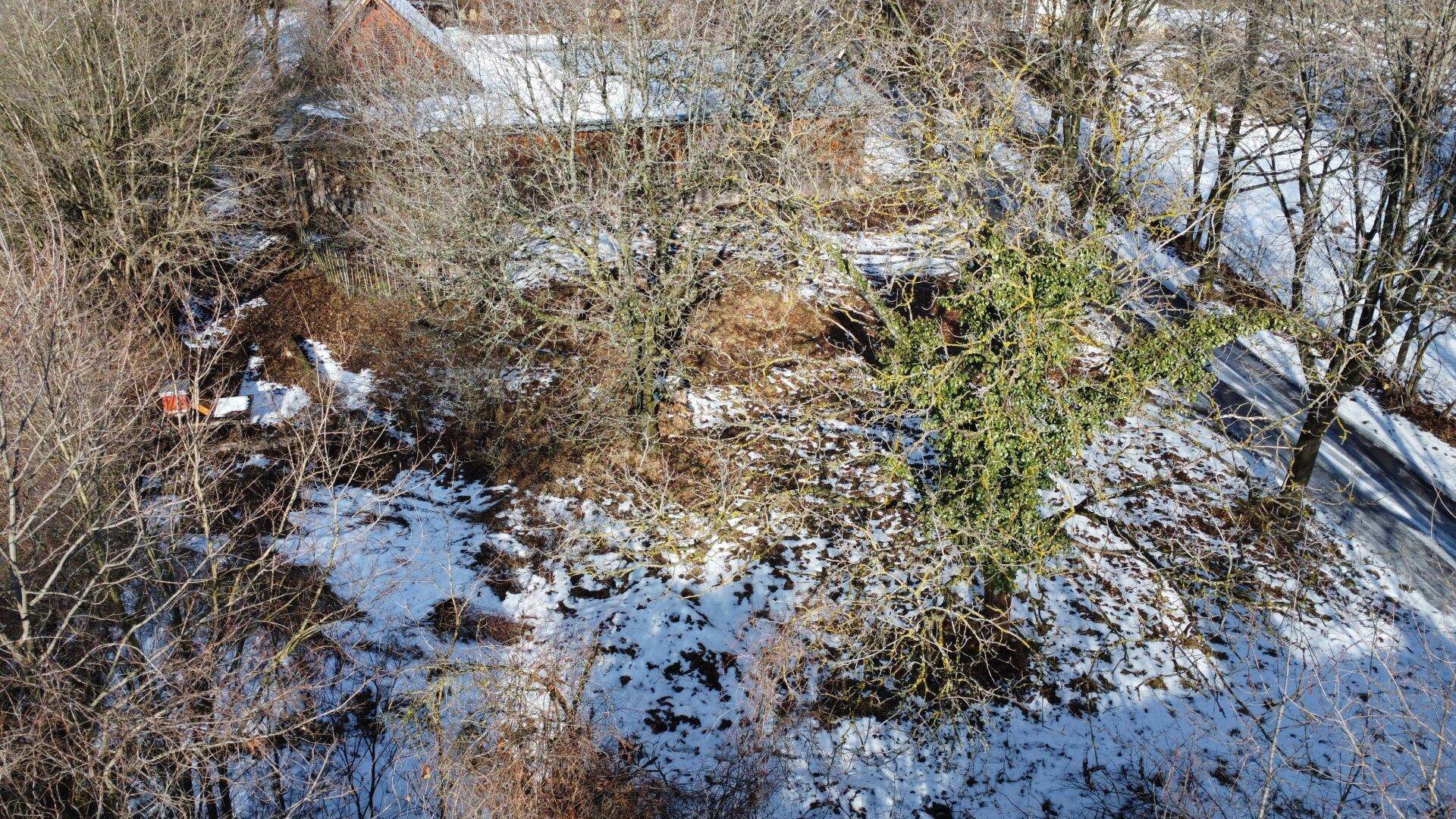 Luftaufnahme einer verschneiten, bewaldeten Fläche mit kahlen Bäumen und einem Hauch von Grün.