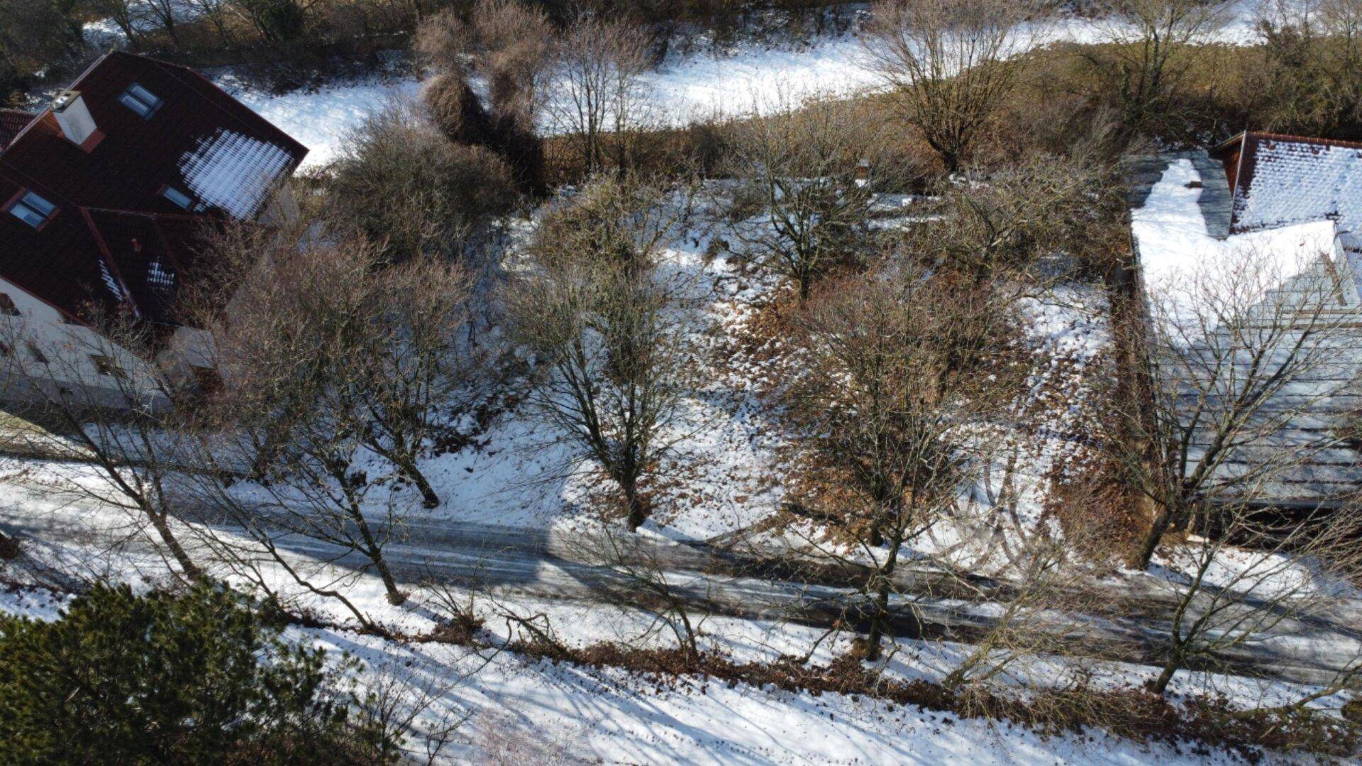 Winterliche Luftaufnahme einer verschneiten Landschaft mit kahlen Bäumen und einem roten Dach.