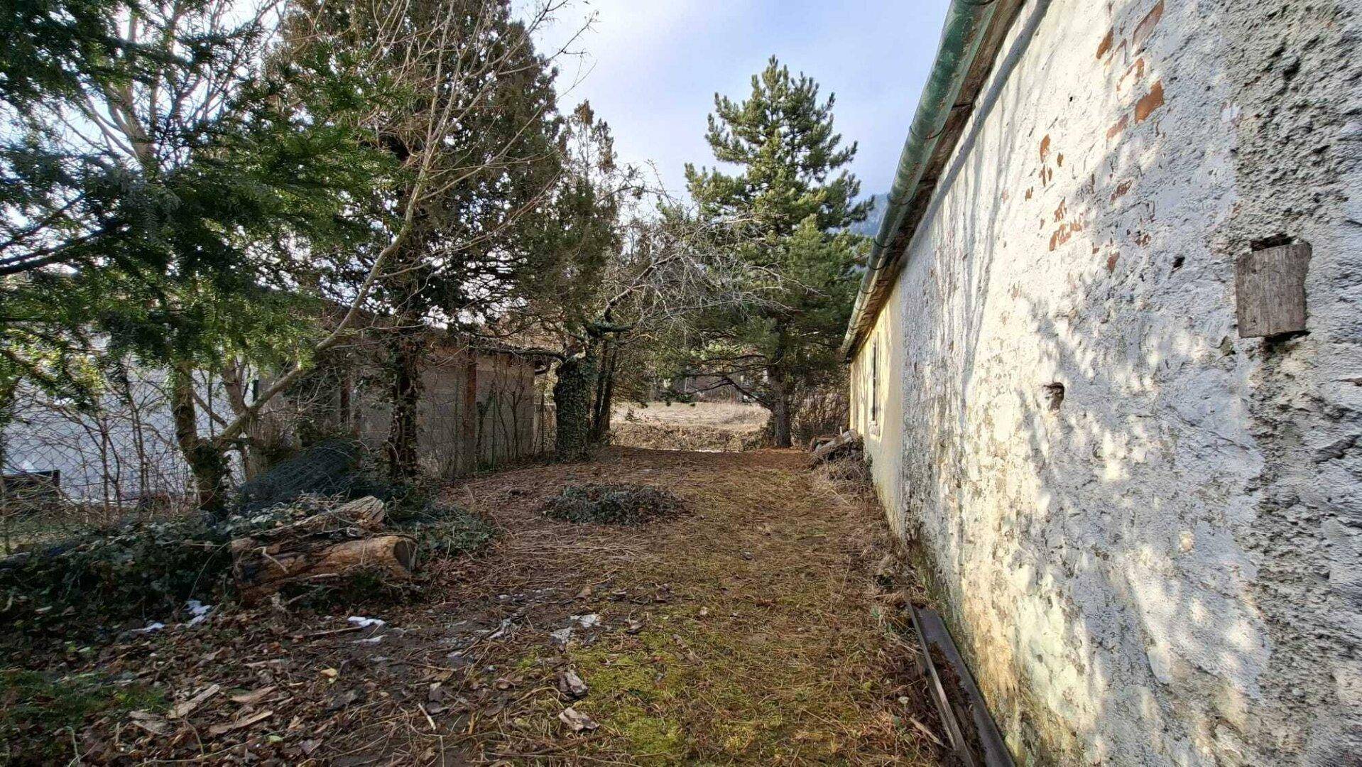 Vernachlässigter Gartenbereich neben einer alten Gebäudewand mit Bäumen und Sträuchern im winterlichen Zustand.