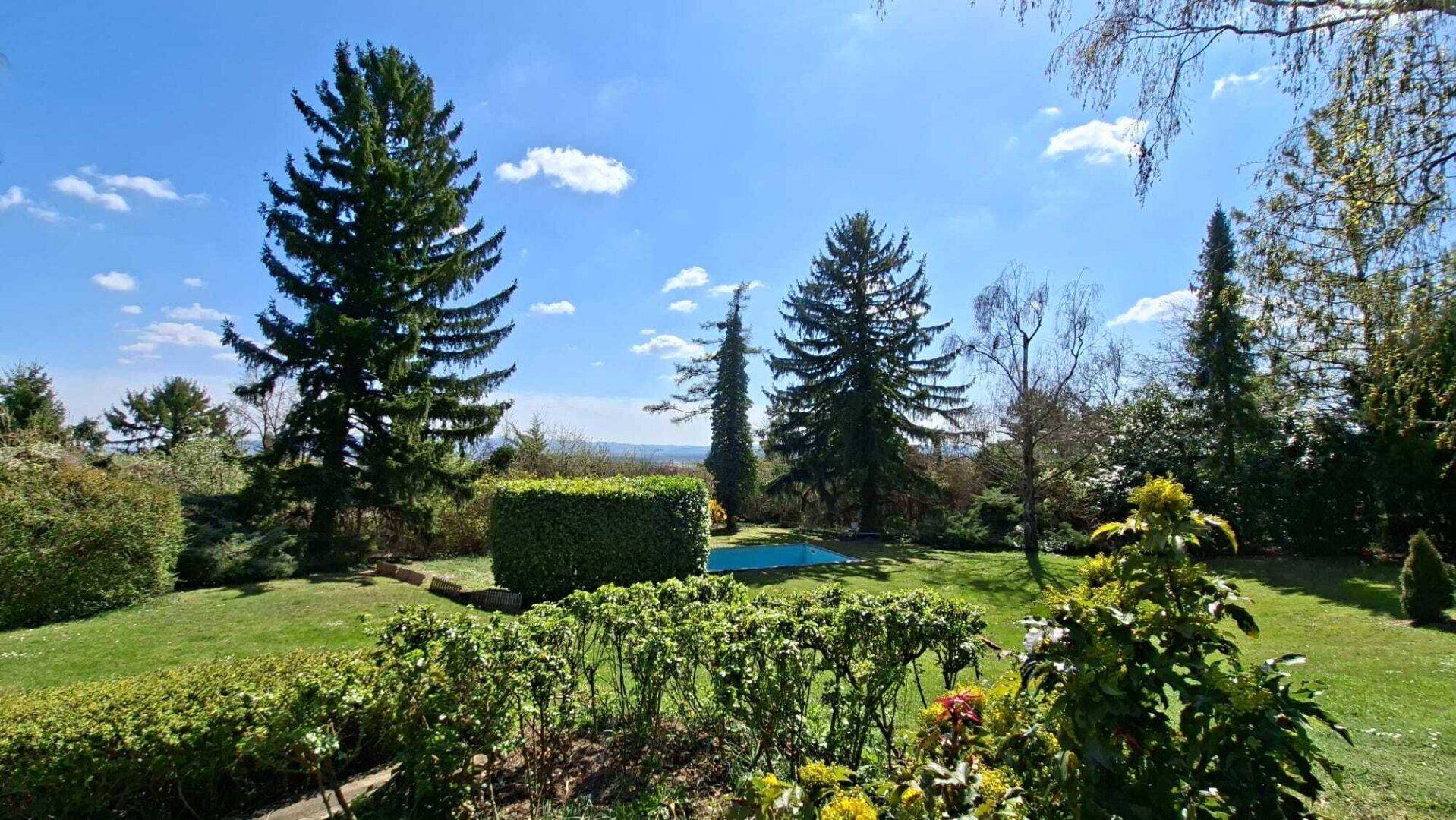 Sonniger Garten mit hohen Nadelbäumen, gepflegtem Rasen und einem erfrischenden Pool.