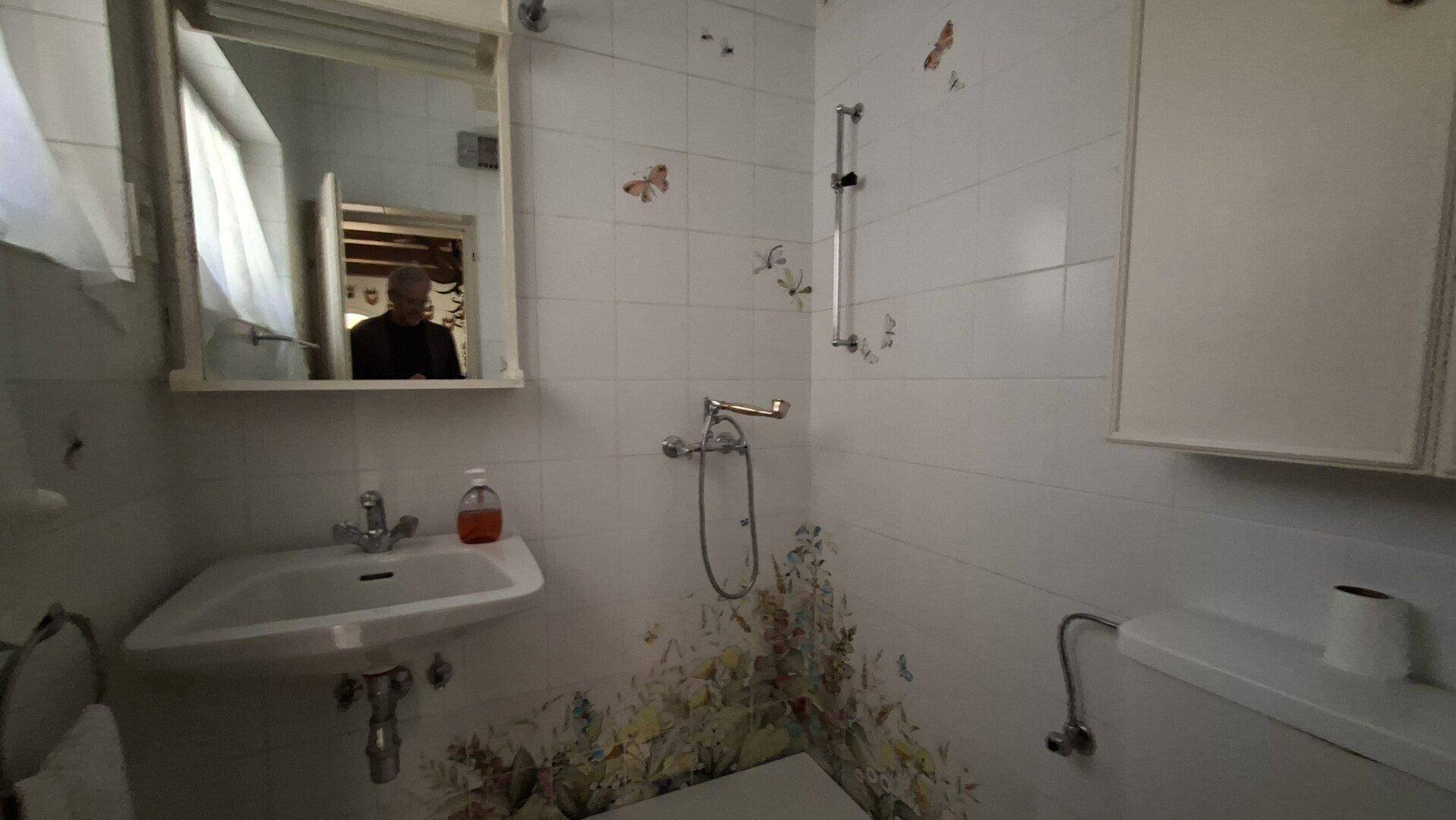 Kleines Badezimmer mit WC, Waschbecken und Dusche, dekoriert mit Schmetterlingsmotiven.