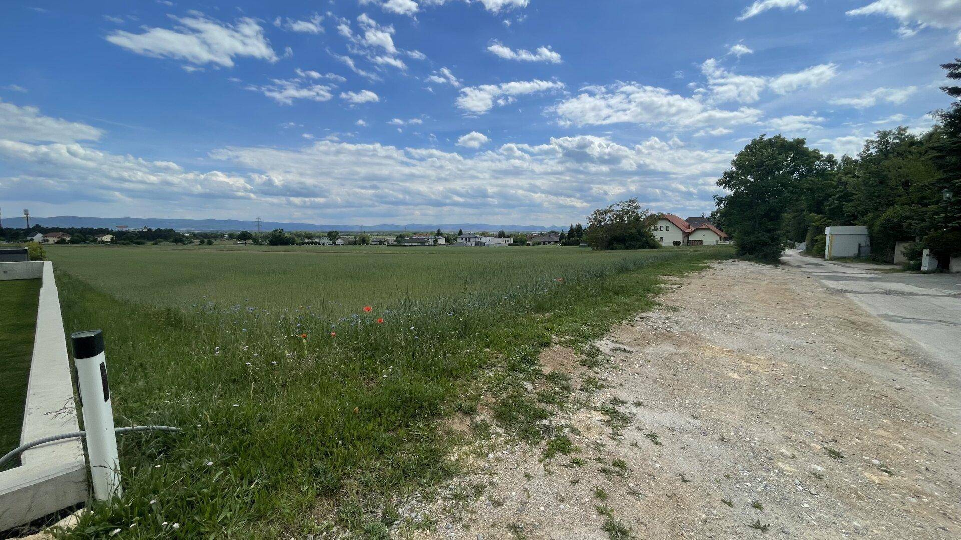 Baugrundstück für Eigenheim in 2721 Bad Fischau-Brunn – Preis €189.000,- - Ansicht 3
