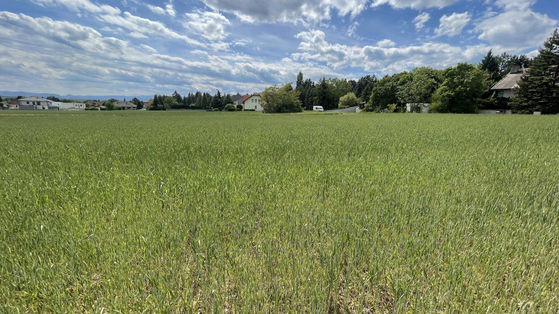 Baugrundstück für Eigenheim in 2721 Bad Fischau-Brunn – Preis €189.000,- - Ansicht 3