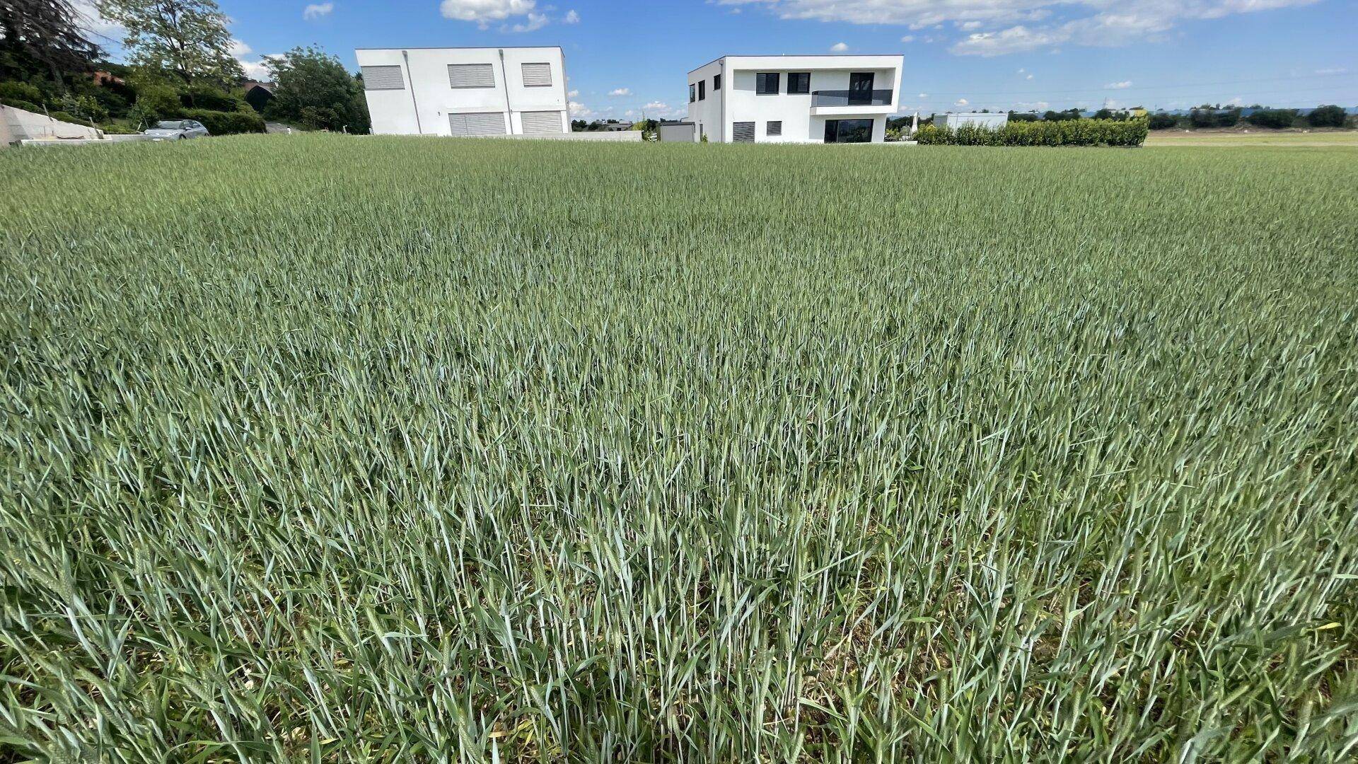 Baugrundstück für Eigenheim in 2721 Bad Fischau-Brunn – Preis €189.000,- - Ansicht 4