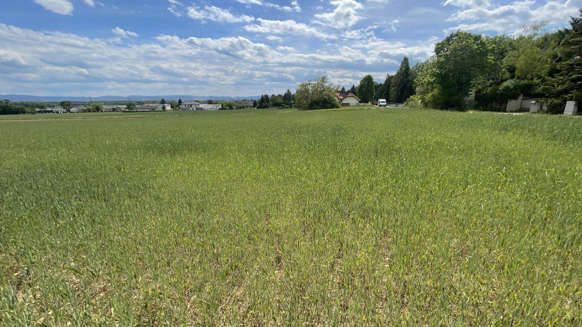 Baugrundstück für Eigenheim in 2721 Bad Fischau-Brunn – Preis €189.000,- - Ansicht 5