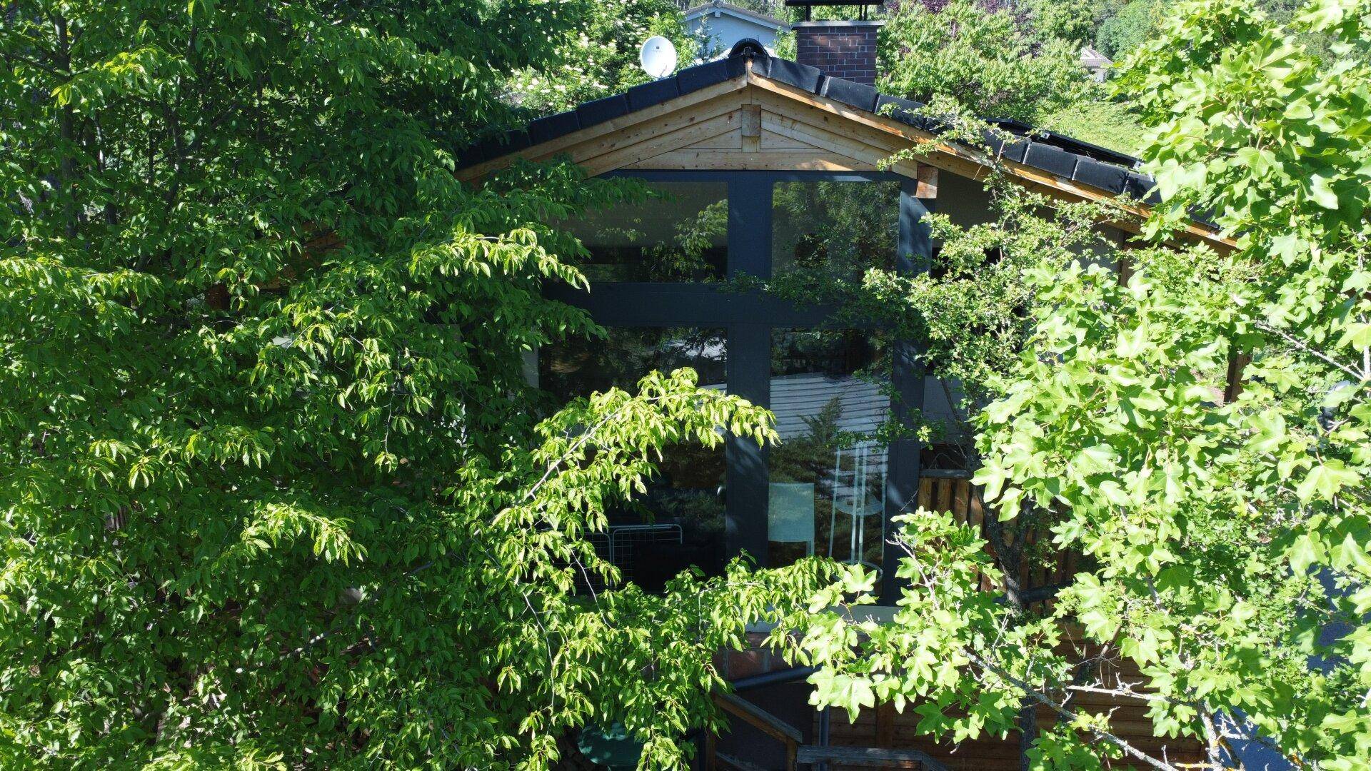 Hausfassade mit großen Fenstern, umgeben von dichtem Grün und Bäumen im Sonnenlicht.