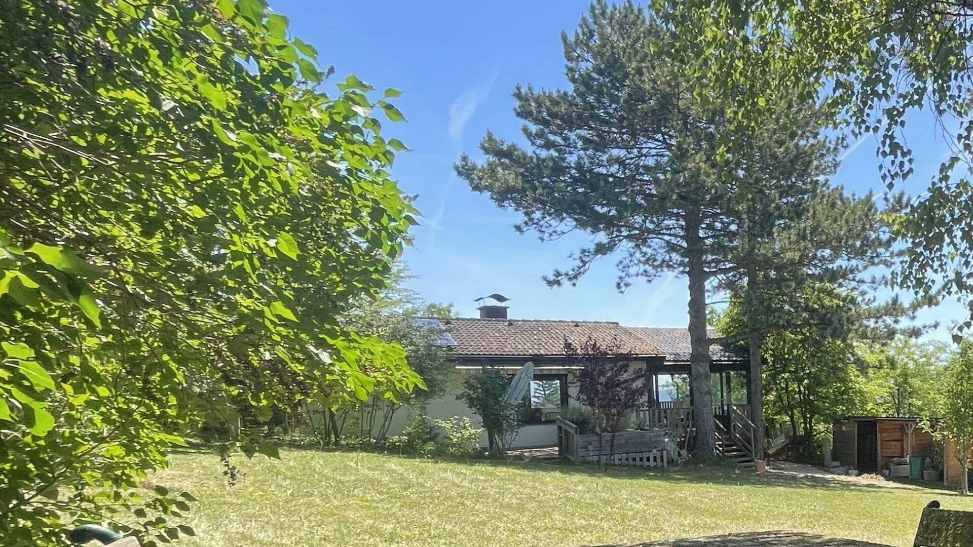 Großer Gartenbereich mit Rasenfläche, Bäumen und Blick auf das Haus im Hintergrund.