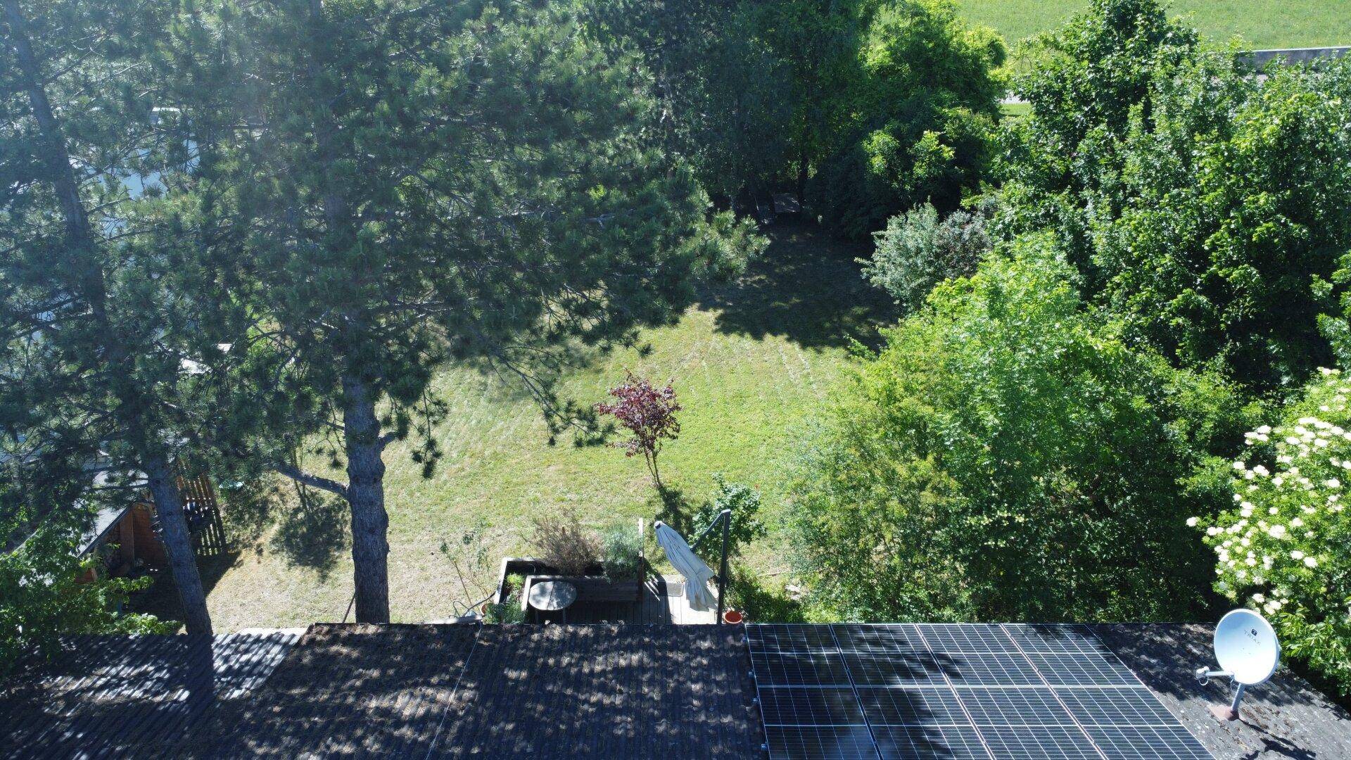 Luftaufnahme des Daches mit Solaranlage und angrenzendem grünen Gartenbereich mit hohen Bäumen.