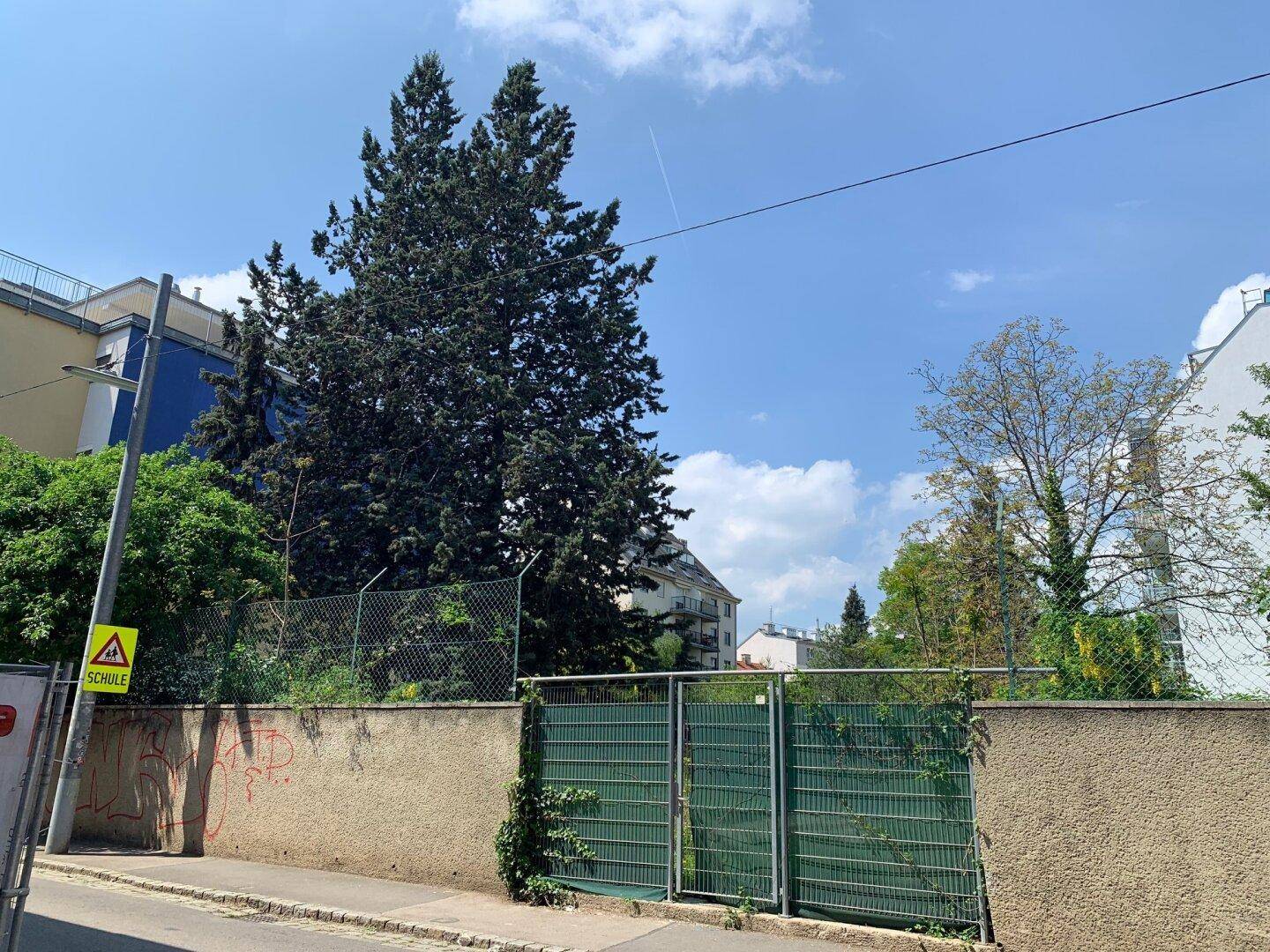 Eingezäuntes Grundstück mit Bäumen und umgebenden Gebäuden unter blauem Himmel.