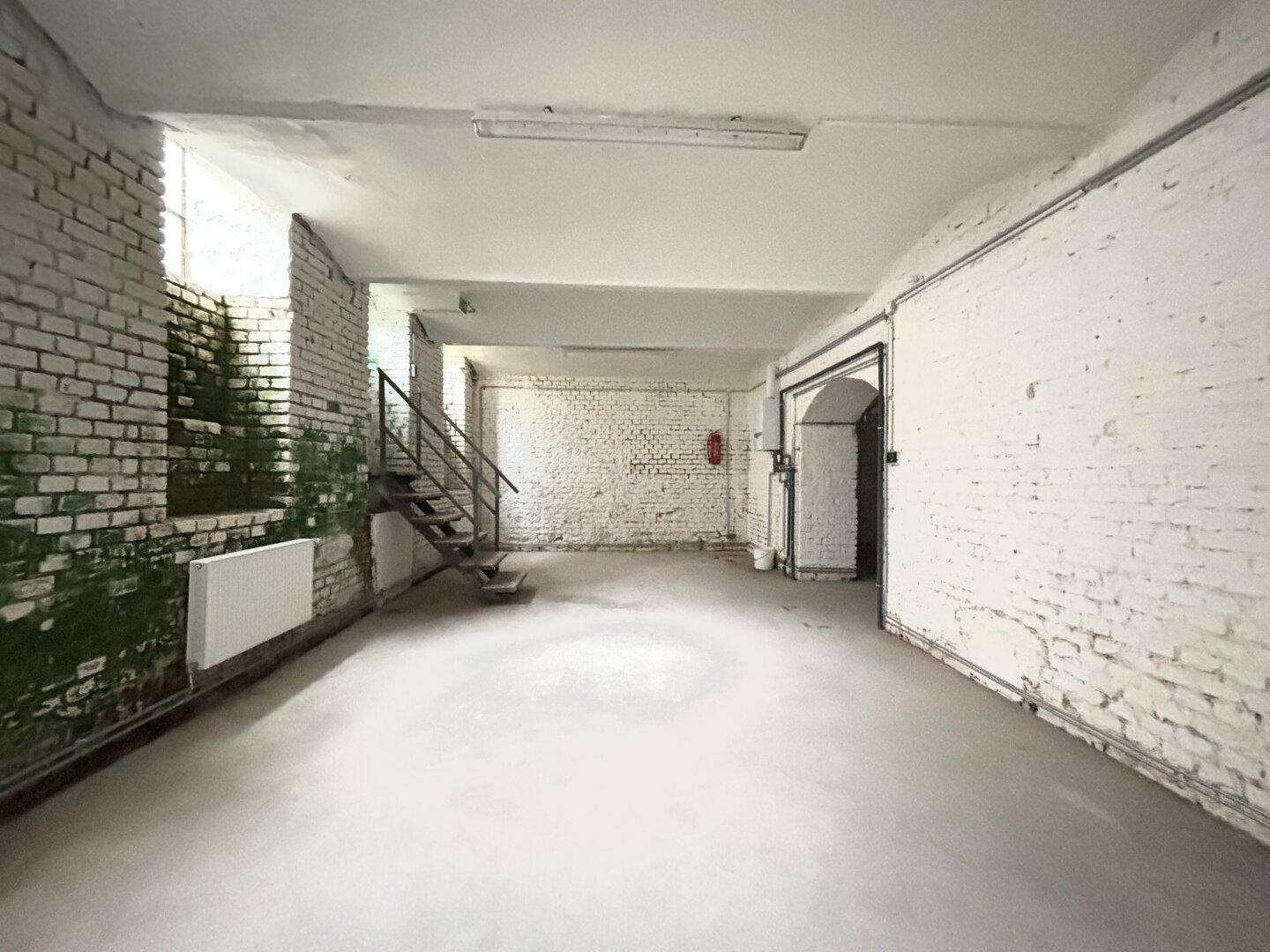 Geräumiger Kellerraum mit weiß gestrichenen Ziegelwänden, Betonboden, gewölbter Decke und einer Metalltreppe.