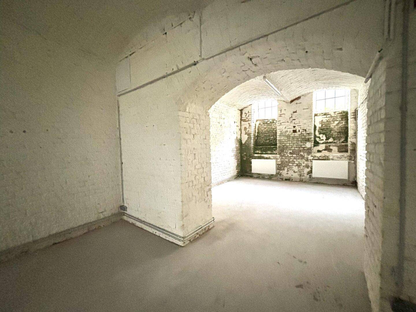 Kellerraum mit weiß gestrichenen Ziegelwänden, Betonboden, gewölbter Decke und Fenstern für natürliches Licht.