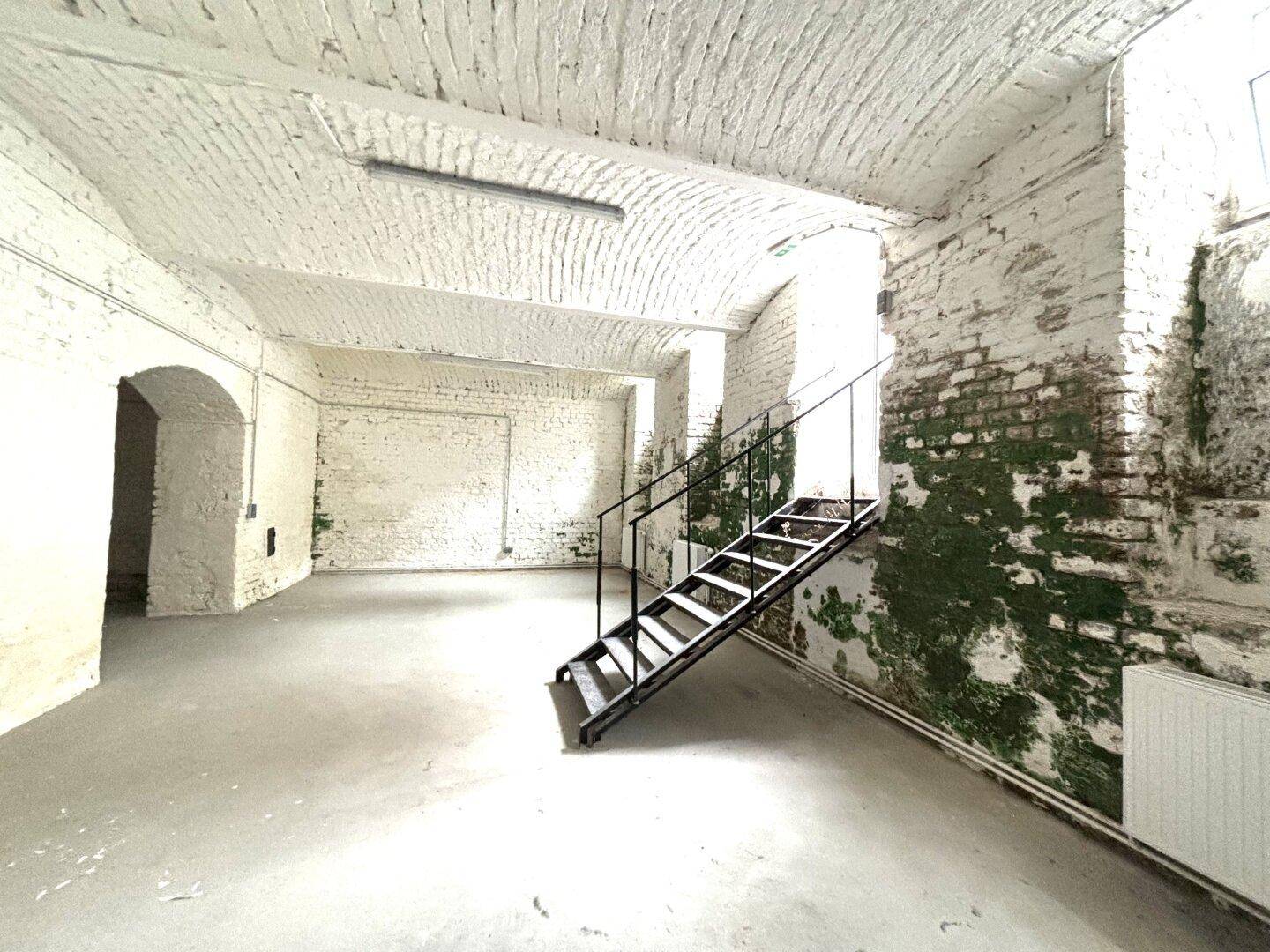 Geräumiger Kellerraum mit weiß gestrichenen Ziegelwänden, Betonboden, gewölbter Decke und einer Metalltreppe.