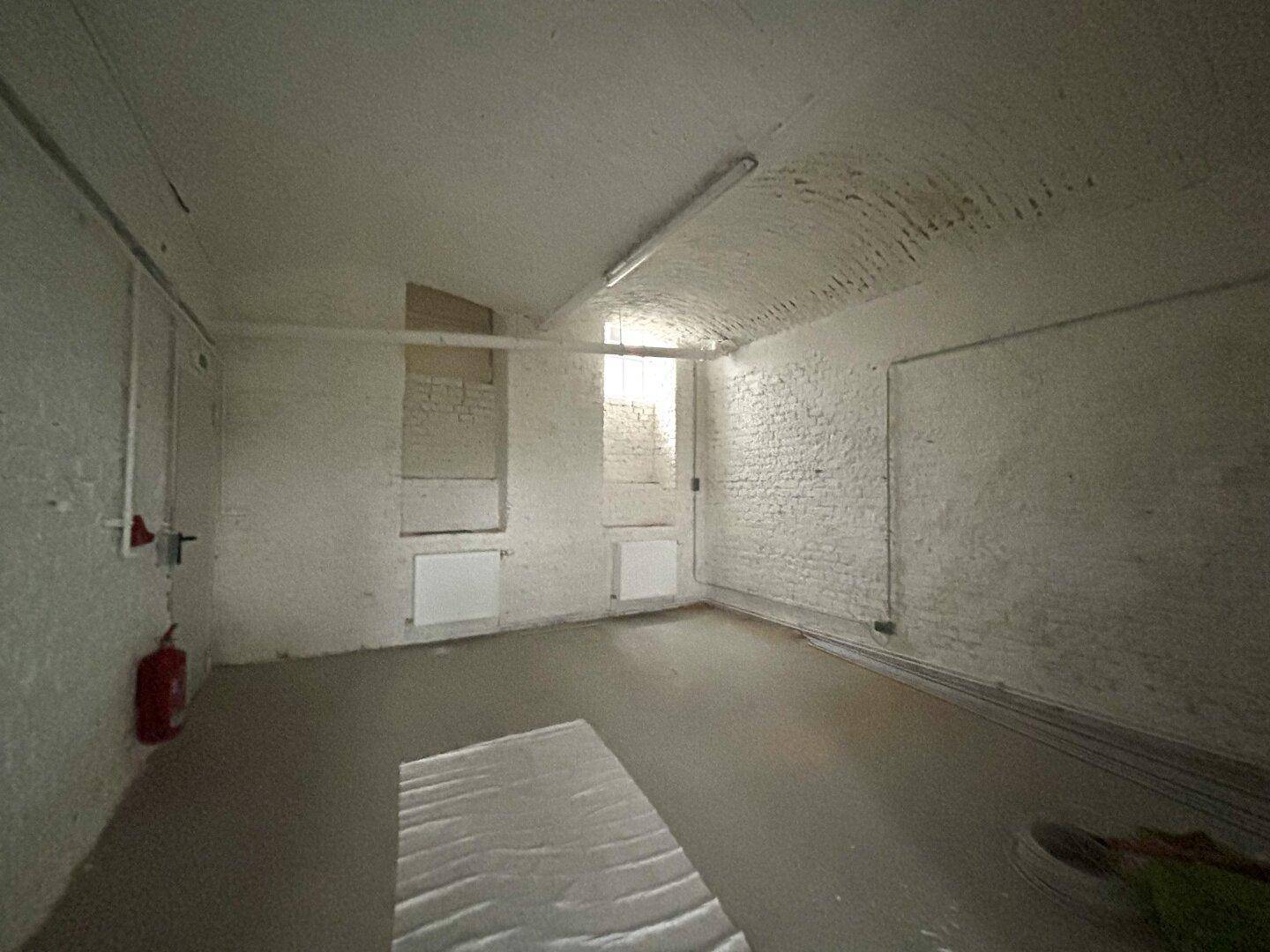 Kellerraum mit weiß gestrichenen Ziegelwänden, Betonboden, gewölbter Decke und Fenstern für natürliches Licht.