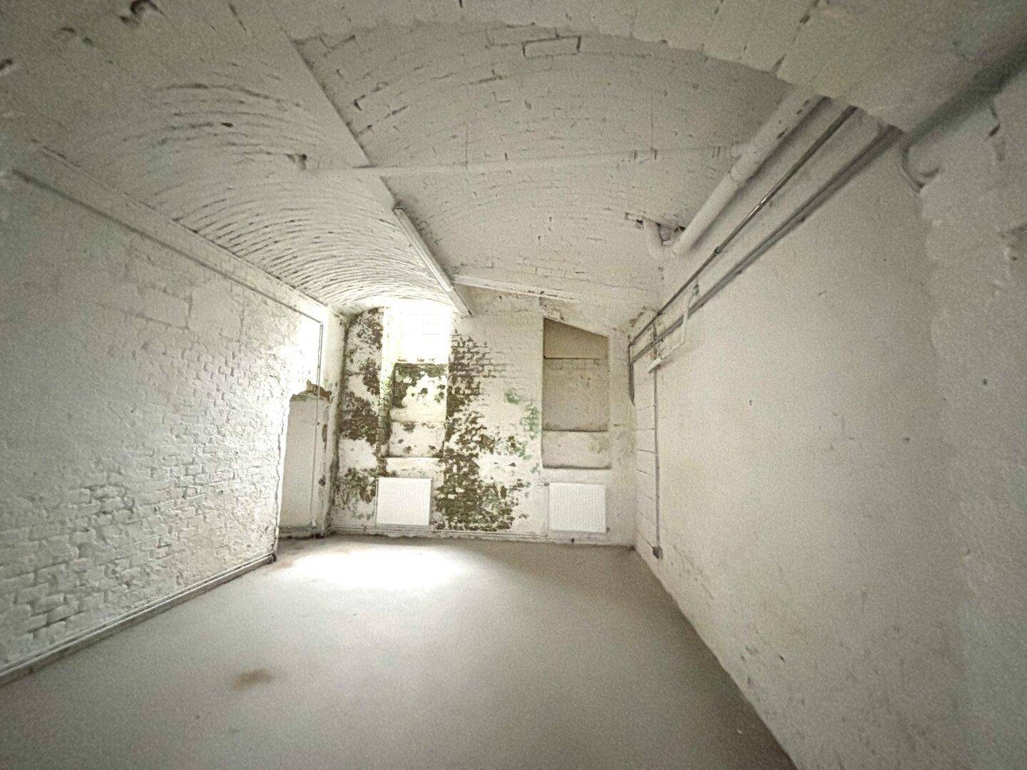 Kellerraum mit weiß gestrichenen Ziegelwänden, Betonboden, gewölbter Decke und Fenstern für natürliches Licht.