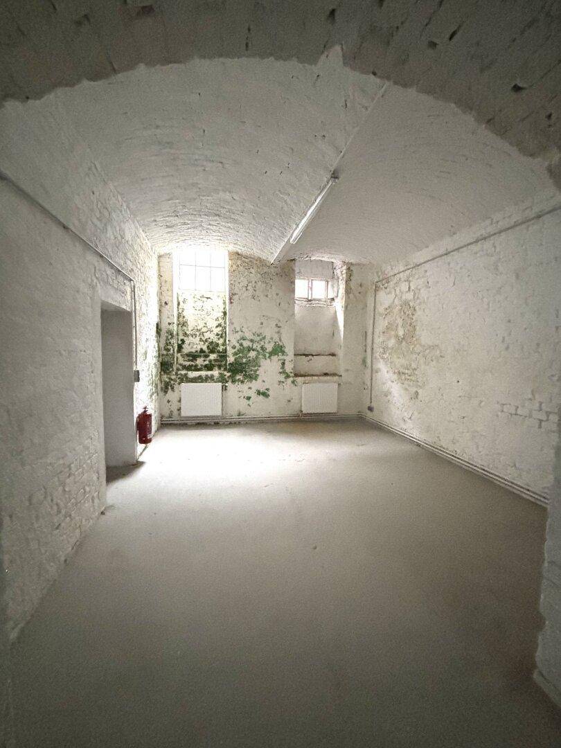 Kellerraum mit weiß gestrichenen Ziegelwänden, Betonboden, gewölbter Decke und Fenstern für natürliches Licht.