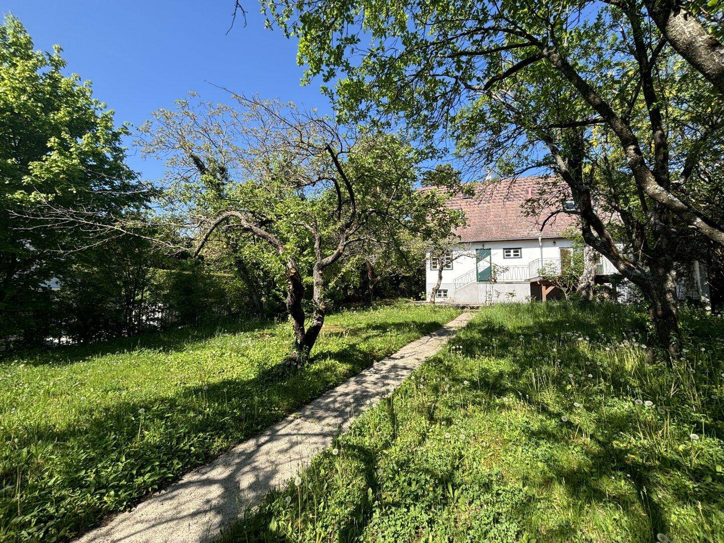 Grüner Garten mit einem gepflasterten Pfad, umgeben von Bäumen und Sträuchern.