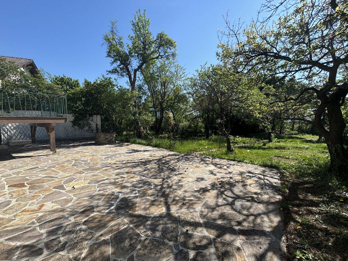 Großer Gartenbereich mit gepflasterter Terrasse und altem Baumbestand unter blauem Himmel.