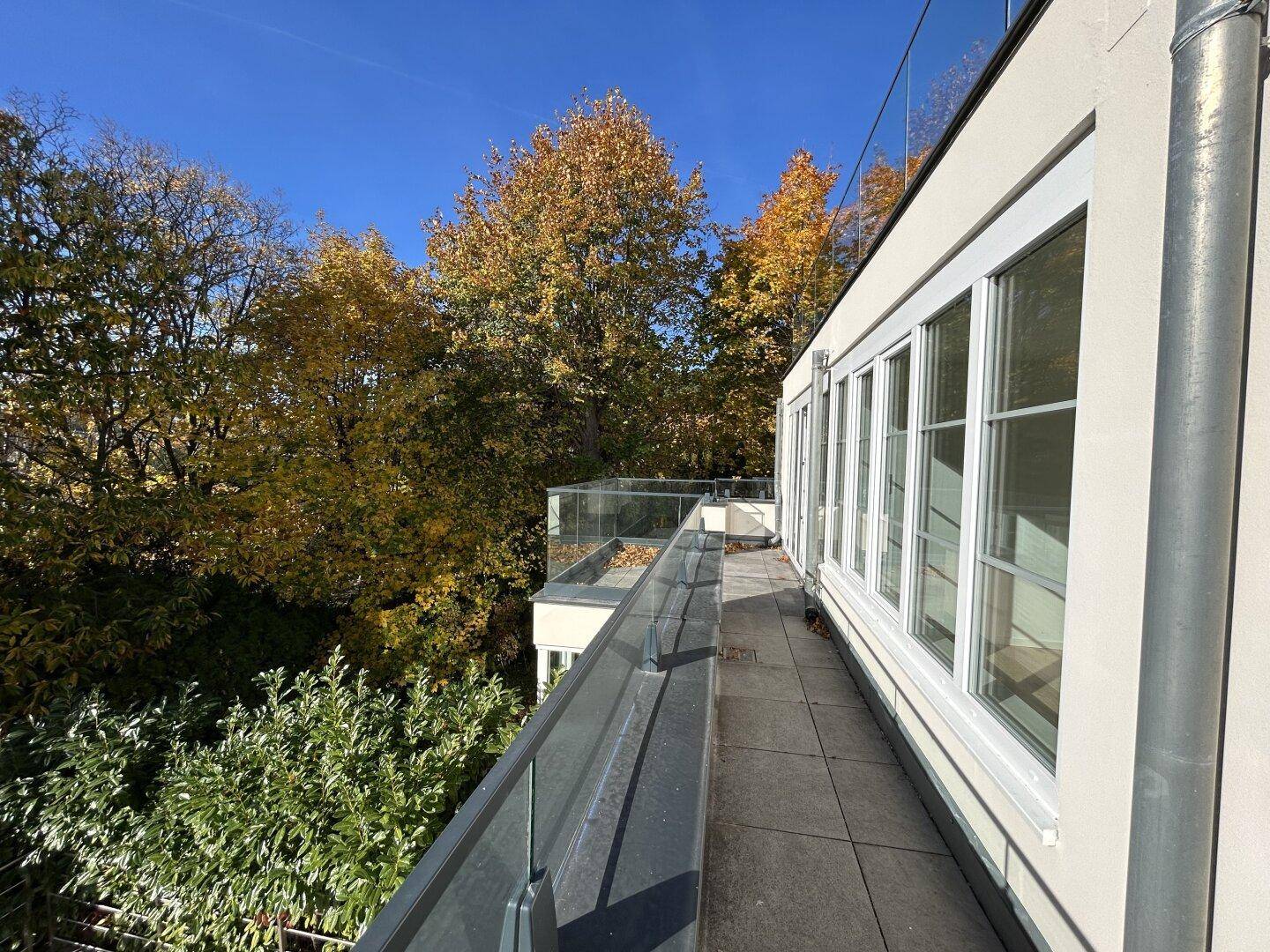 Lange Terrasse mit Glasgeländer und weitem Blick auf die umliegende Natur und Bäume.