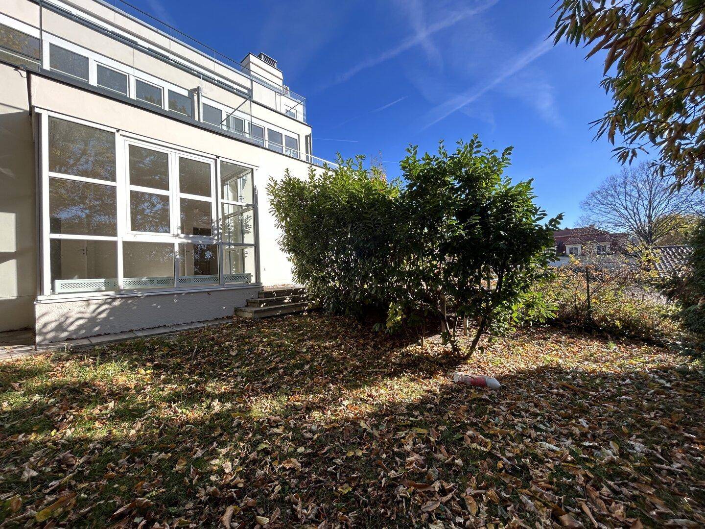 Gartenbereich mit Rasen, Herbstlaub und Blick auf die Gebäudefassade.