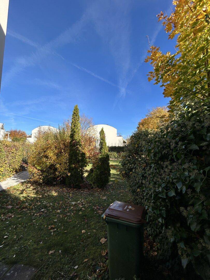 Gepflegter Gartenbereich mit verschiedenen Bäumen und Sträuchern unter blauem Himmel.
