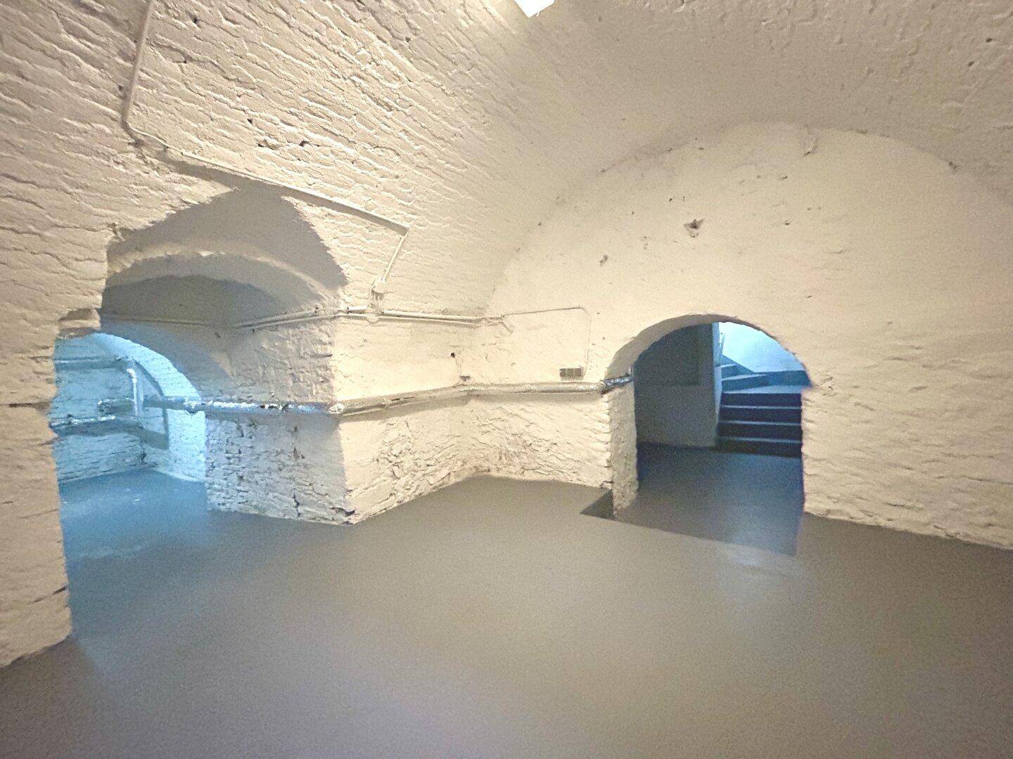 Geräumiger Keller mit mehreren gewölbten Bereichen, weiß gestrichenen Wänden und robustem grauen Boden.
