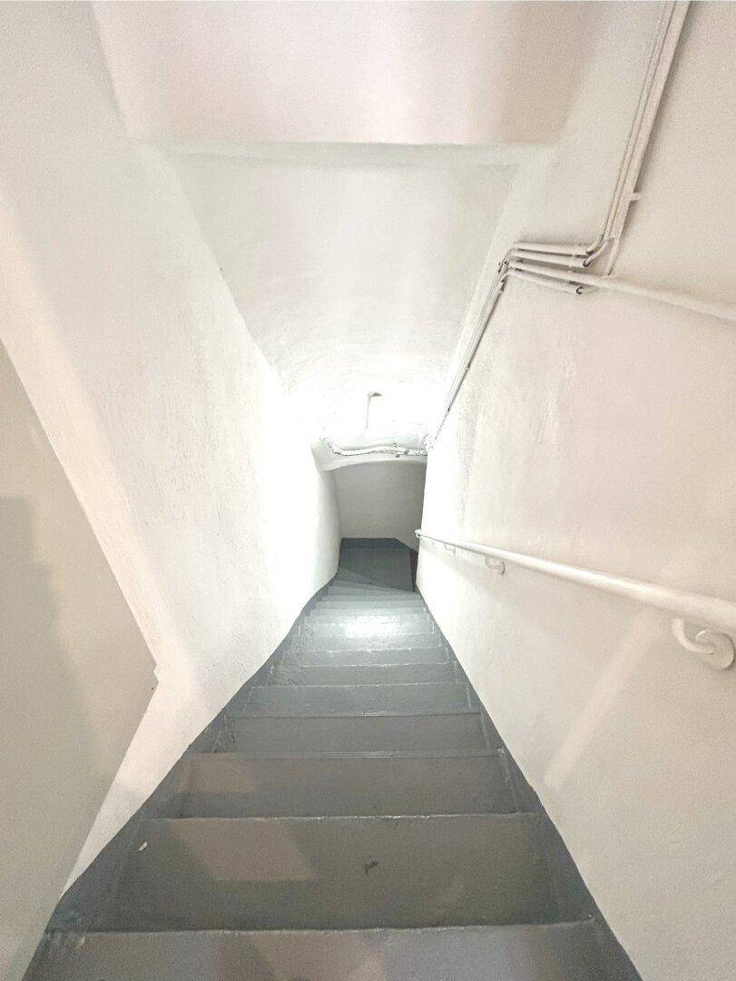 Schmaler Treppenabgang in den Keller mit grauen Stufen und weiß gestrichenen Wänden, beleuchtet von oben.