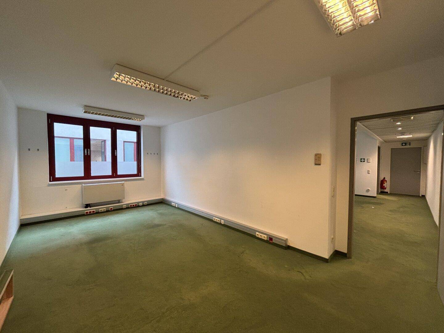 Büro mit grünem Teppichboden, weißen Wänden und einem großen Fenster, ausgestattet mit zahlreichen Steckdosen.