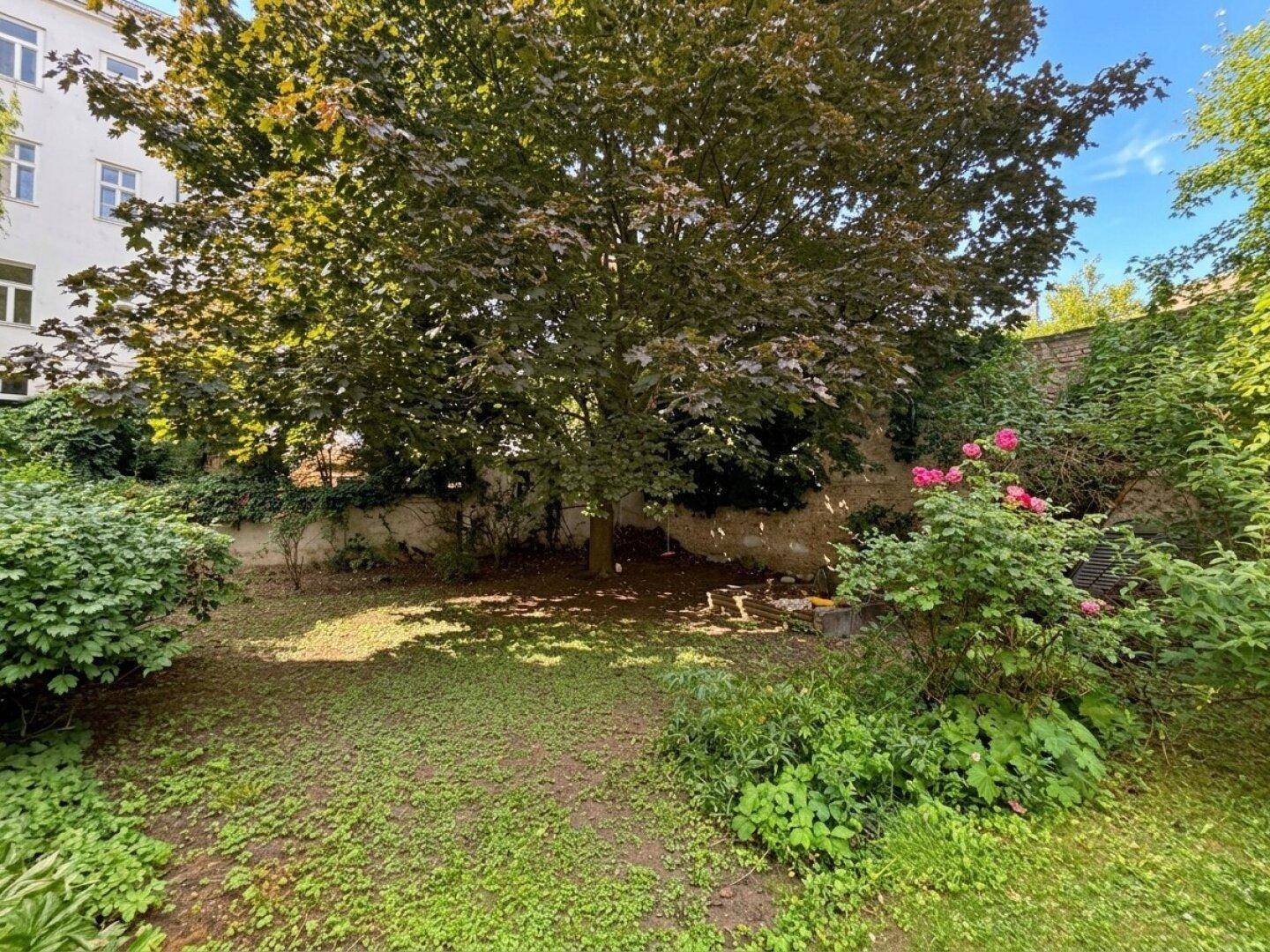 Grüner Gartenbereich mit altem Baum, Sträuchern und blühenden Rosen.