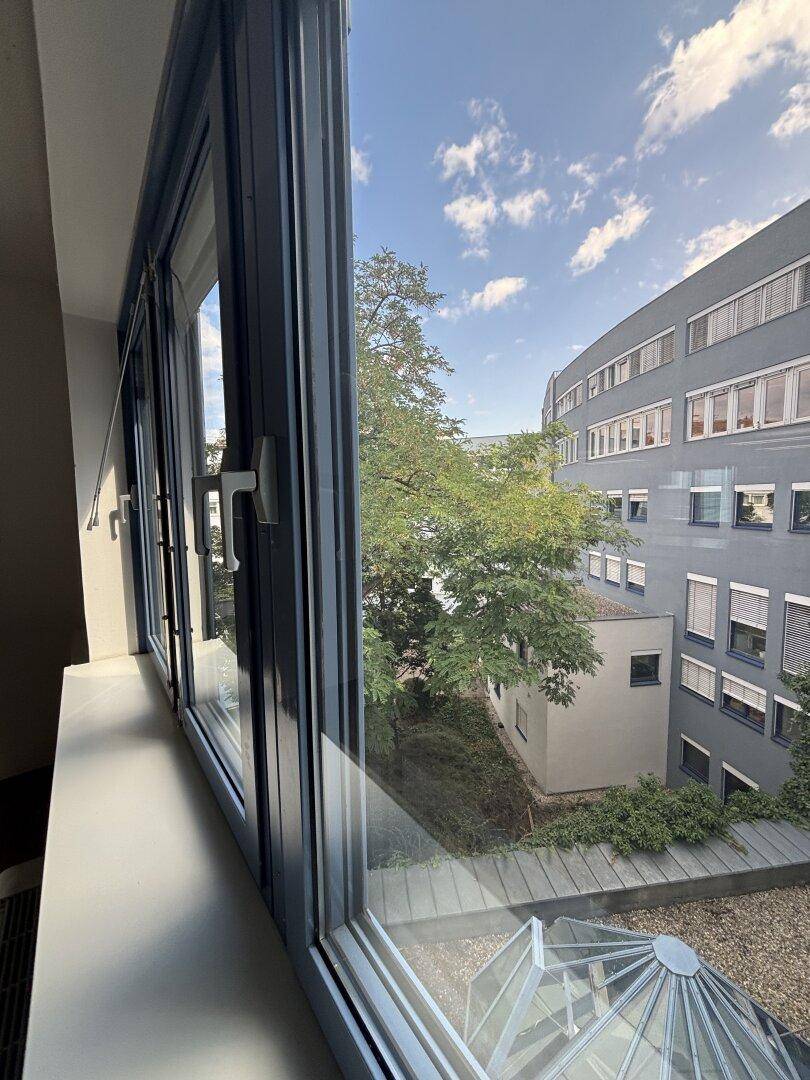 Fensterblick aus einem Büro auf einen begrünten Innenhof und angrenzende Gebäude.
