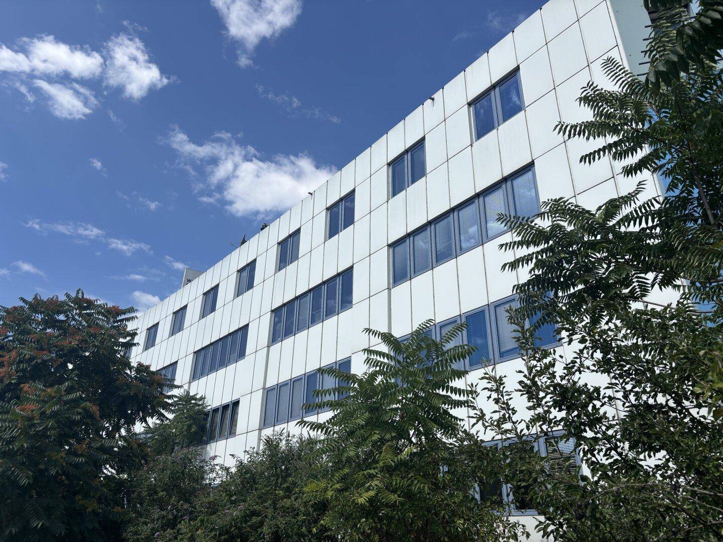 Moderne Bürogebäude-Fassade mit vielen Fenstern und umgebender Vegetation unter blauem Himmel.