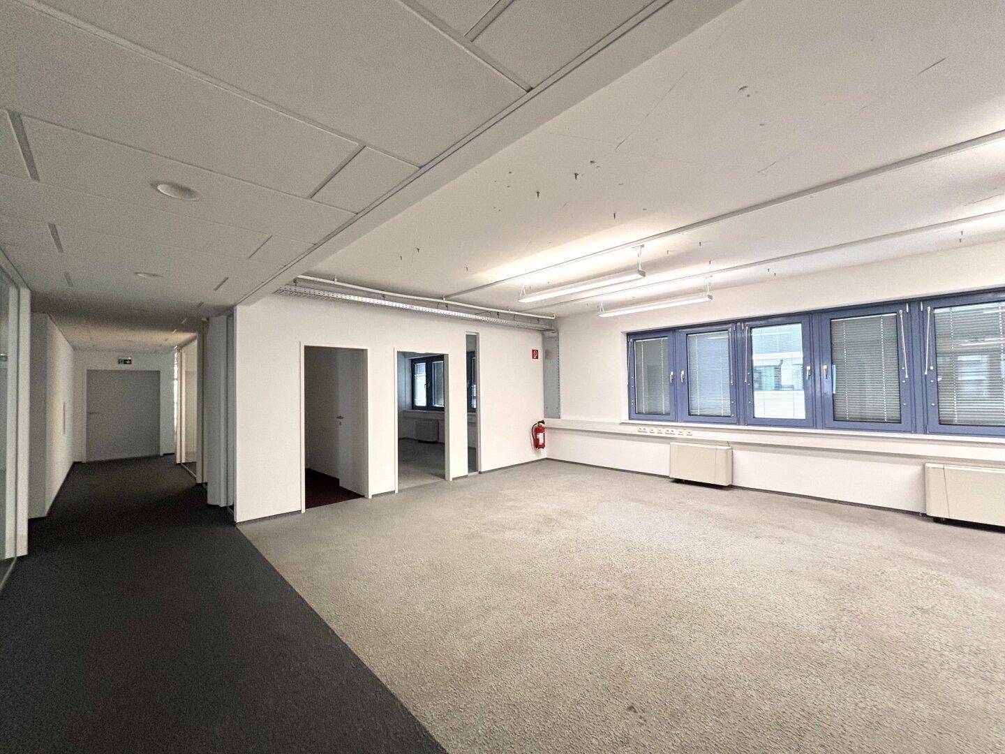 Geräumiges, leeres Büro mit Teppichboden, großen Fenstern und abgehängter Decke, bereit zur individuellen Gestaltung.