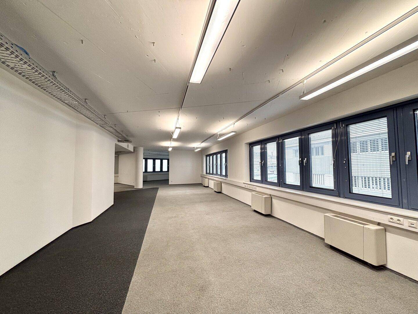 Geräumiger Büroraum mit Teppichboden, blauen Fensterrahmen und Deckenbeleuchtung, ideal für Arbeitsplätze.