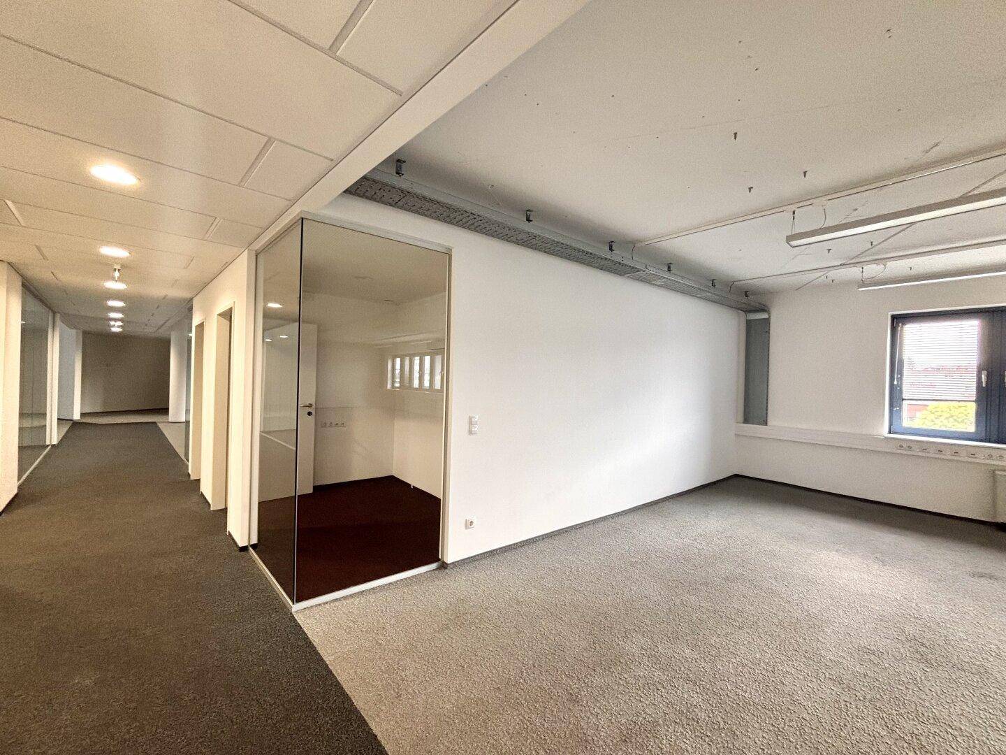 Bürogang mit Teppichboden und einer Glaswand, die einen separaten Büroraum abtrennt.
