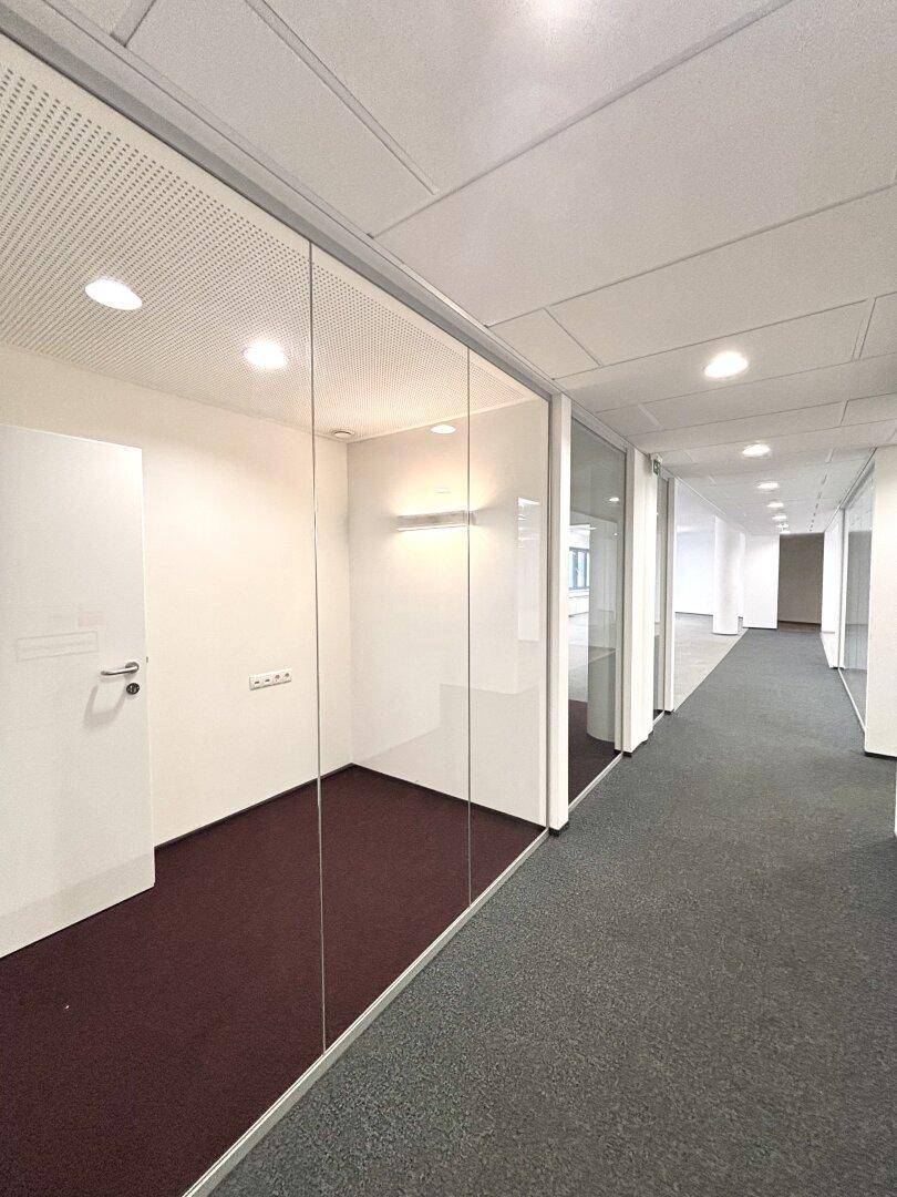 Bürogang mit Glaswänden, die separate Büros abtrennen, und Teppichboden, der den Flur säumt.