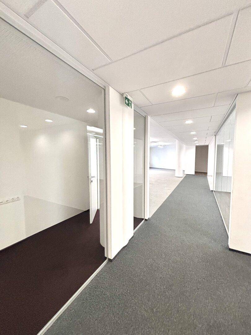 Bürogang mit Glaswänden, die separate Büros abtrennen, und Teppichboden, der den Flur säumt.